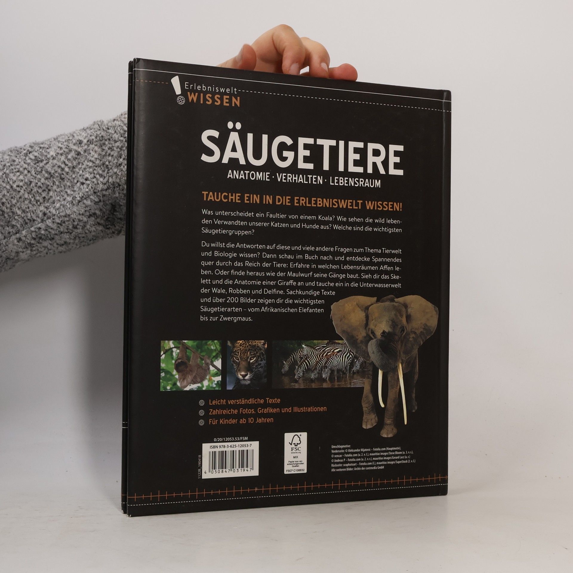 Kolektiv autorů Säugetiere. Anatomie, Verhalten, Lebensraum