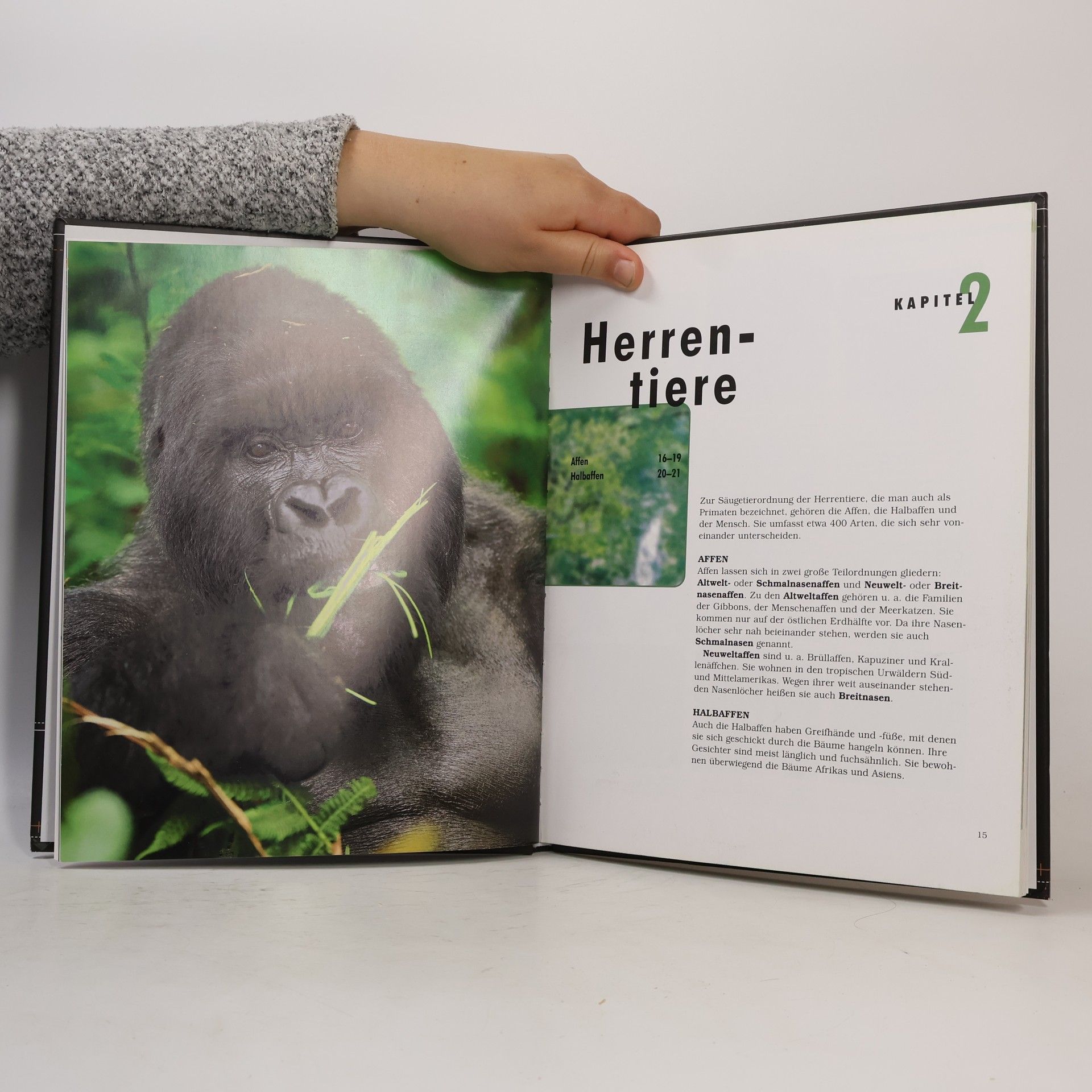 Kolektiv autorů Säugetiere. Anatomie, Verhalten, Lebensraum