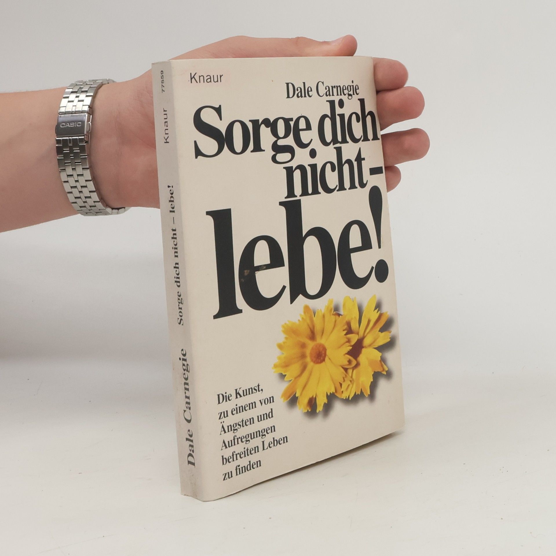 Dale Carnegie Sorge dich nicht - lebe!