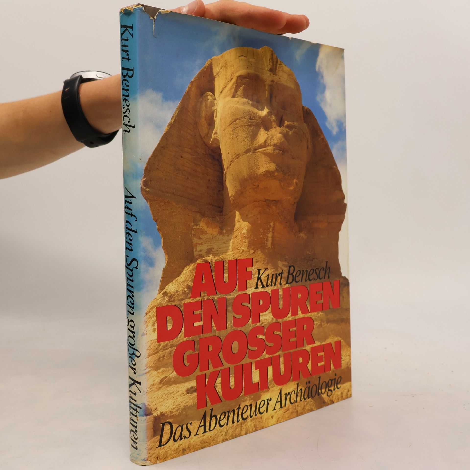 Kurt Benesch Auf den Spuren großer Kulturen. Das Abenteuer Archäologie