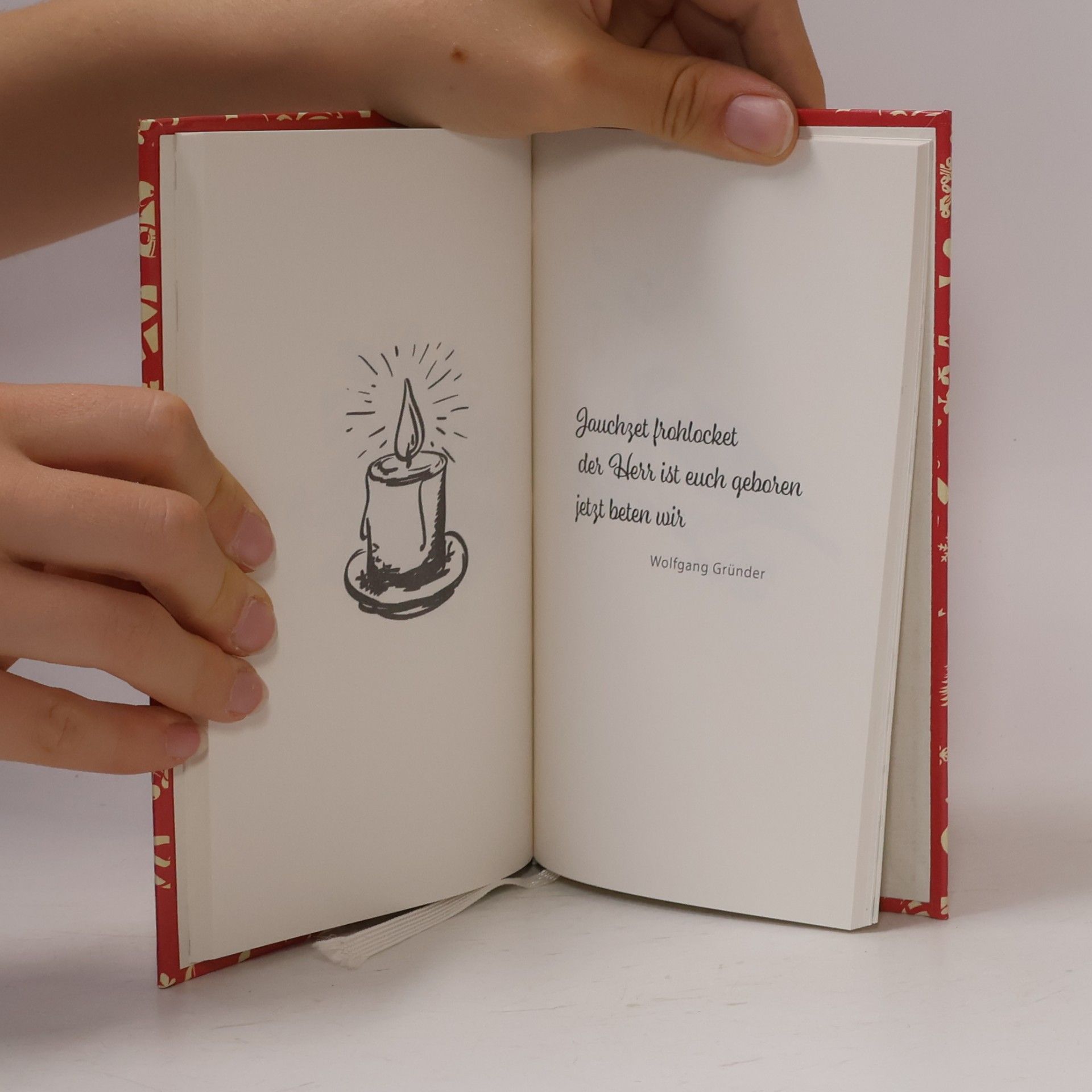 Rotkiefer Verlag Oh, du fröhliche Haikuzeit