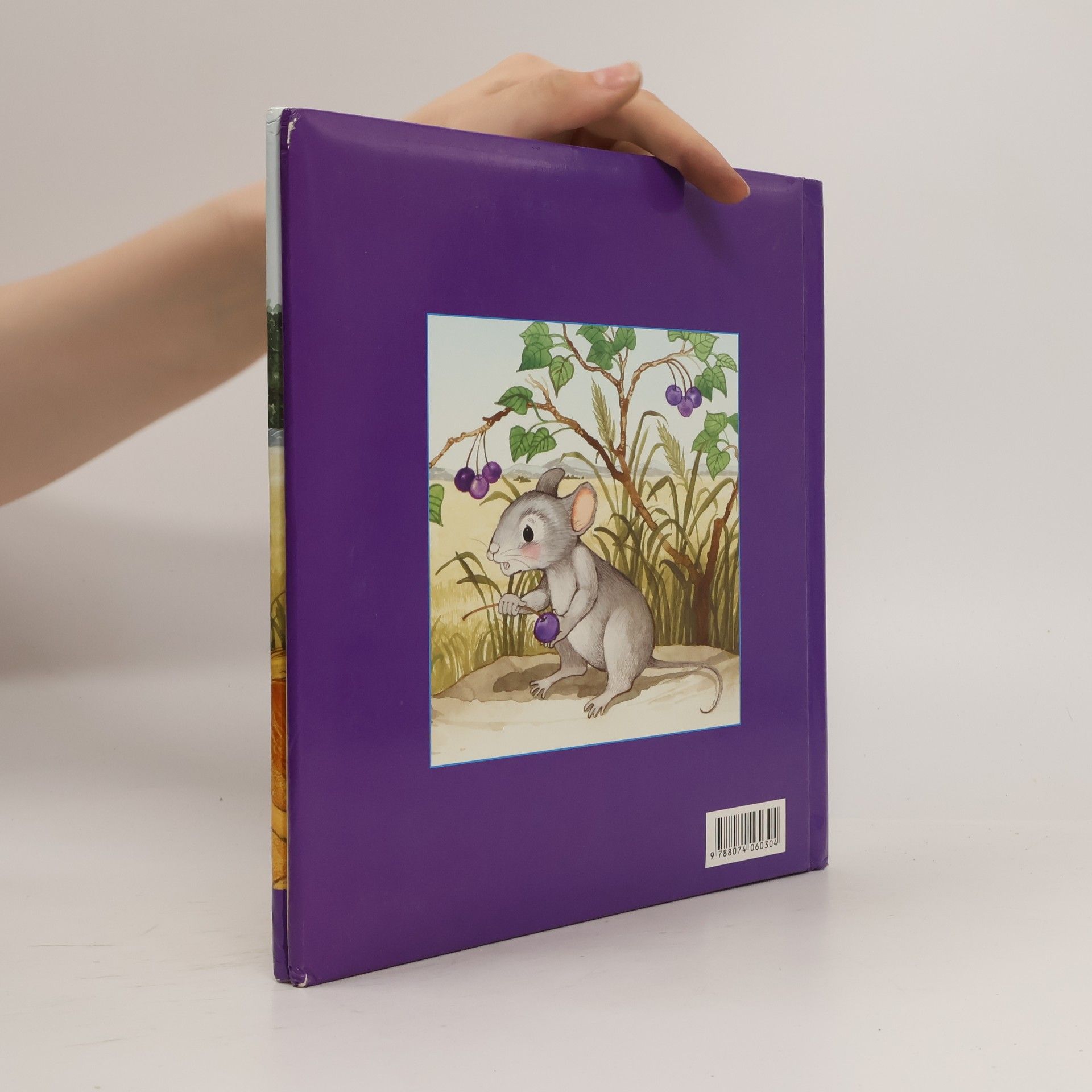 Collectif d'auteurs O lvu a myšce. Příběh o pomoci druhým