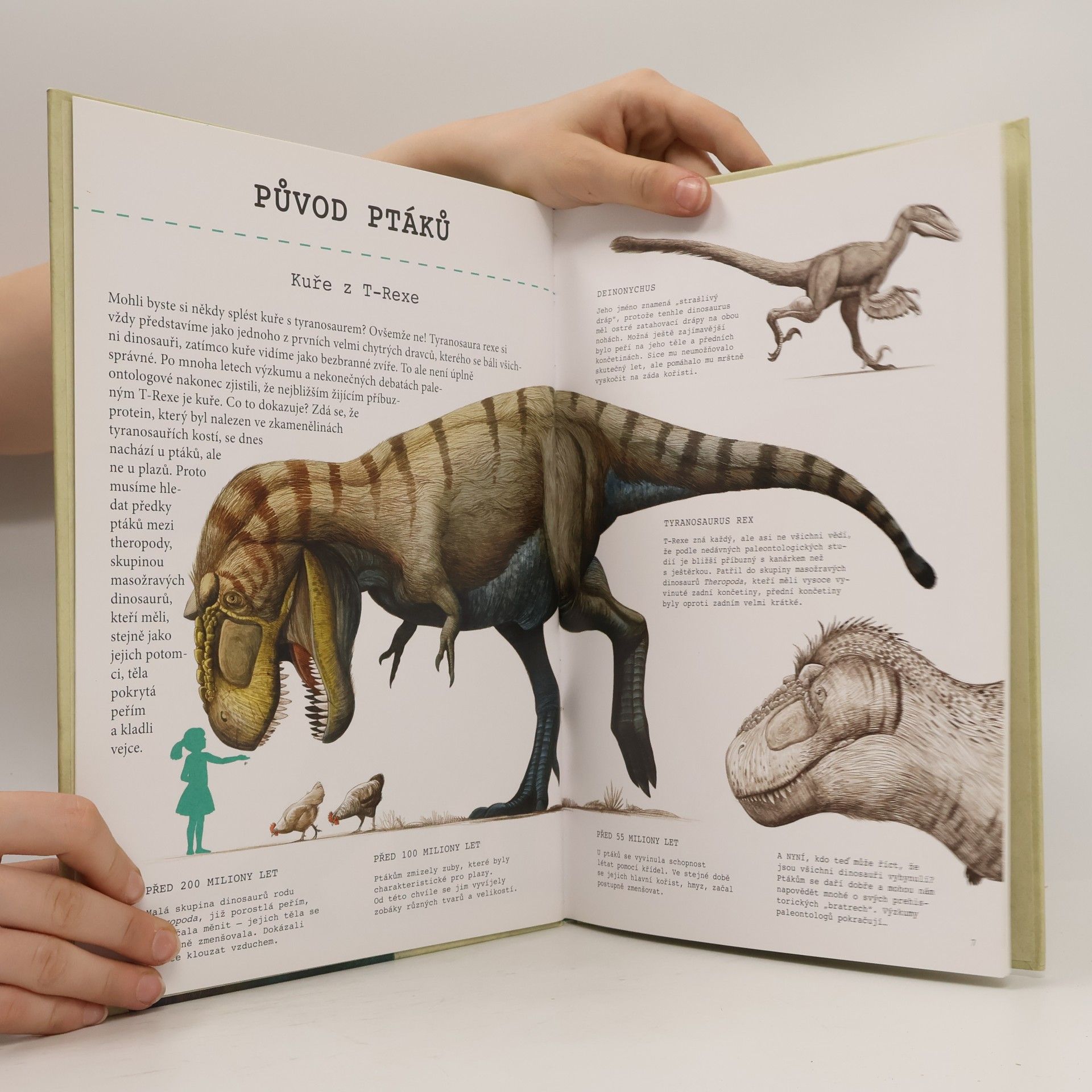 Autores varios To kuře je T-Rex! : velká kniha o evoluci zvířat