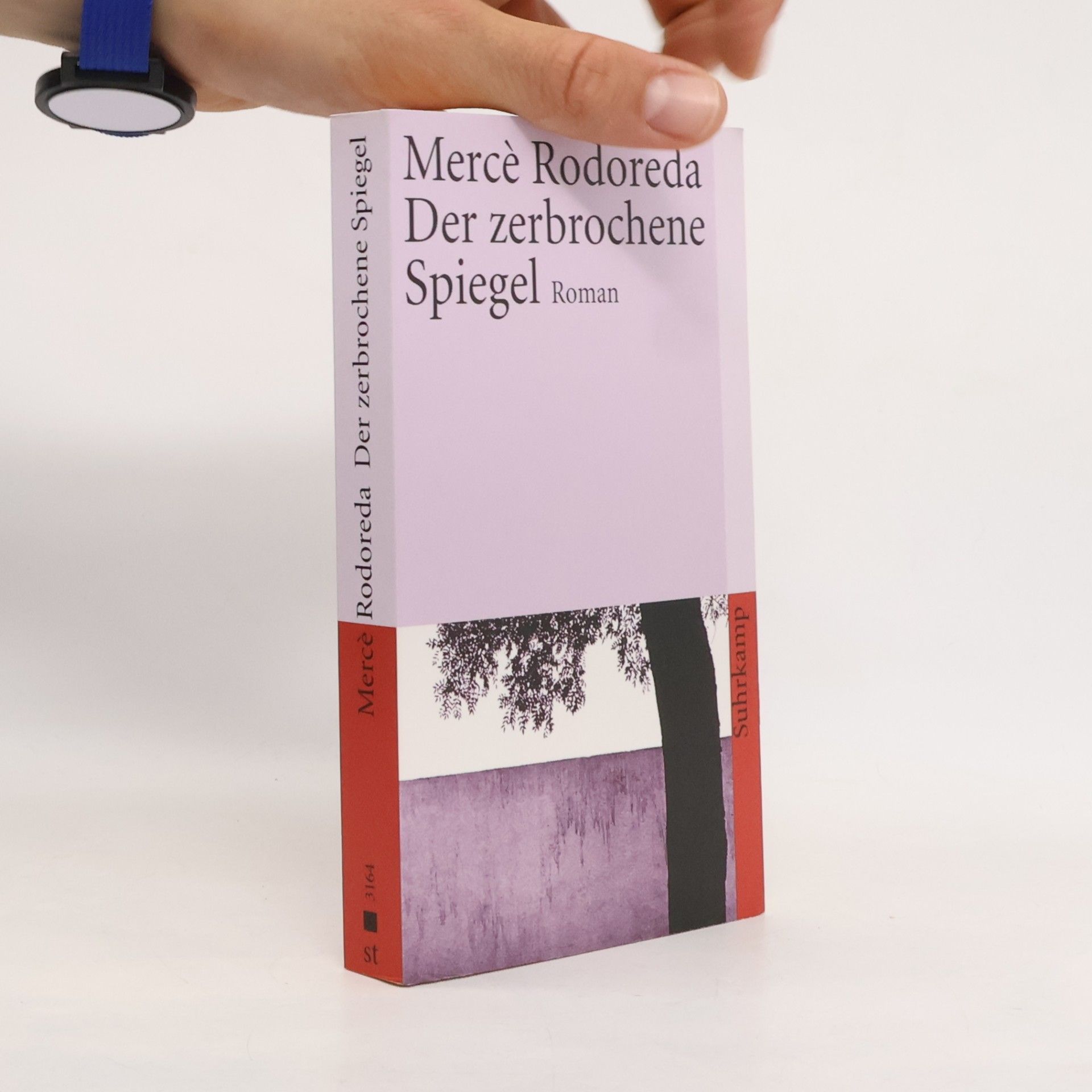 Mercè Rodoreda Der zerbrochene Spiegel