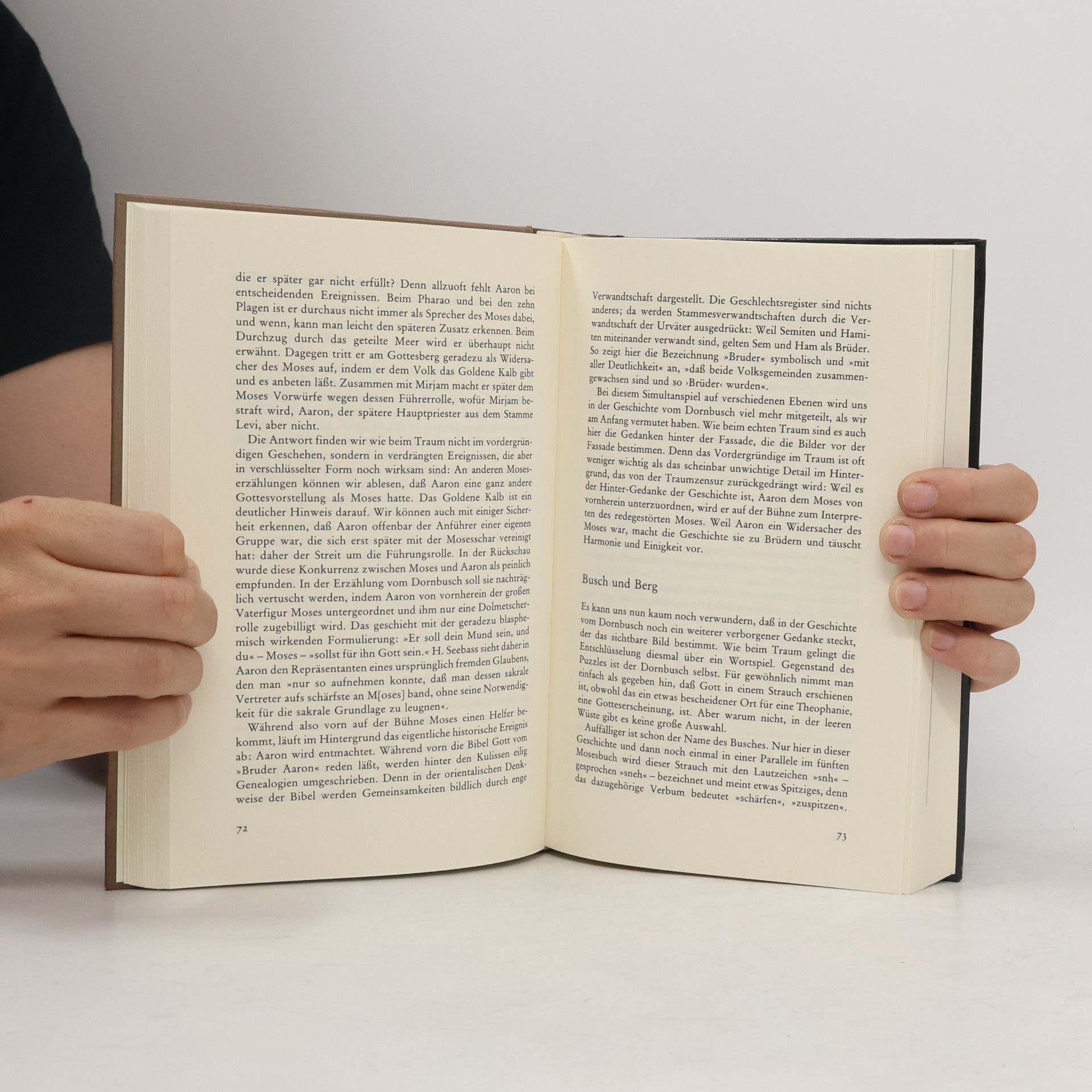 Johannes Lehmann Moses, der Mann aus Ägypten. Religionsstifter, Gesetzgeber, Staatsgründer