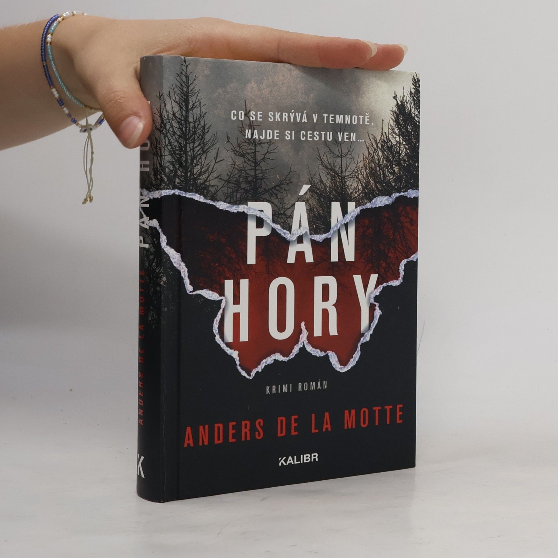 Anders De la Motte Pán hory