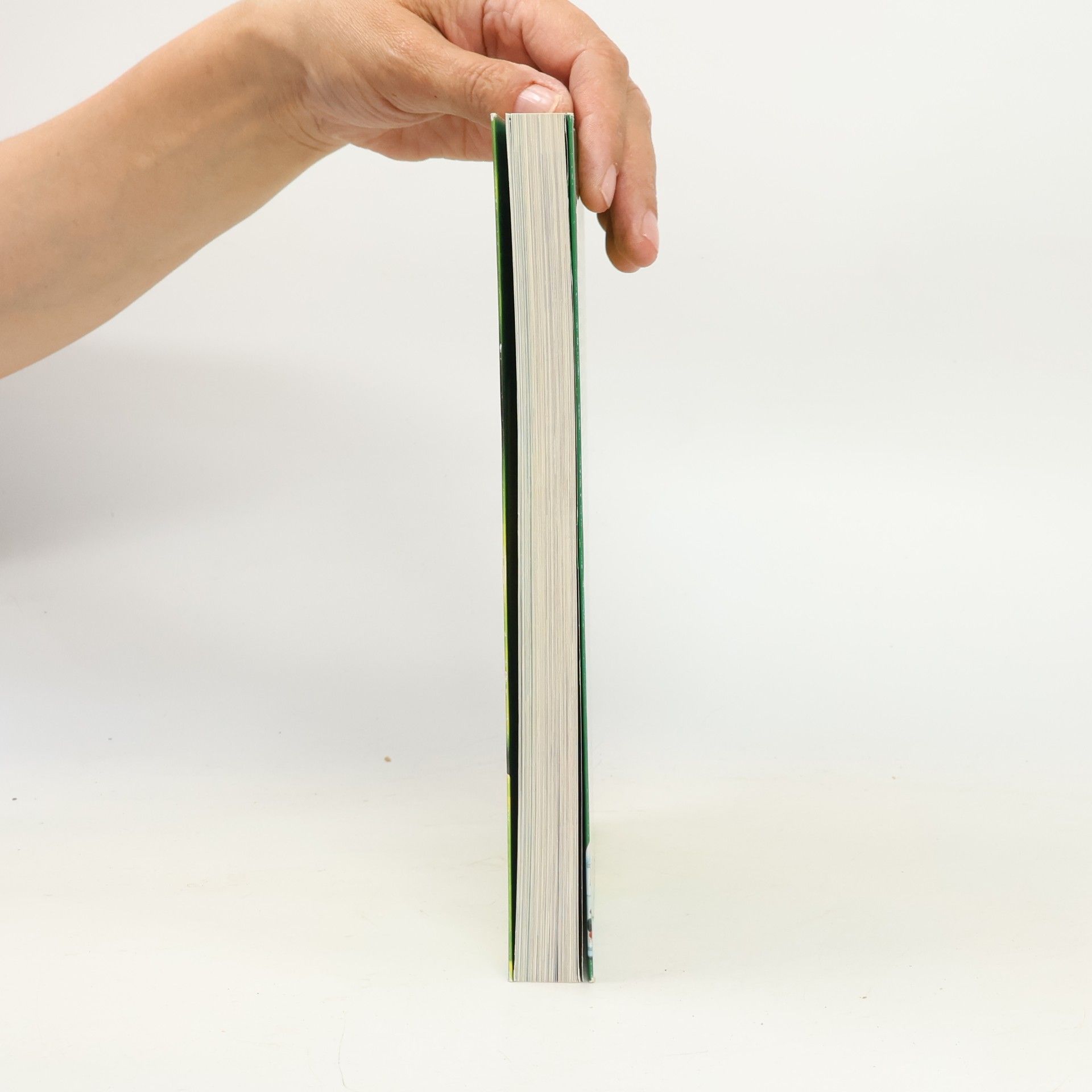 Franca Mangiameli Das große LOGI-Kochbuch