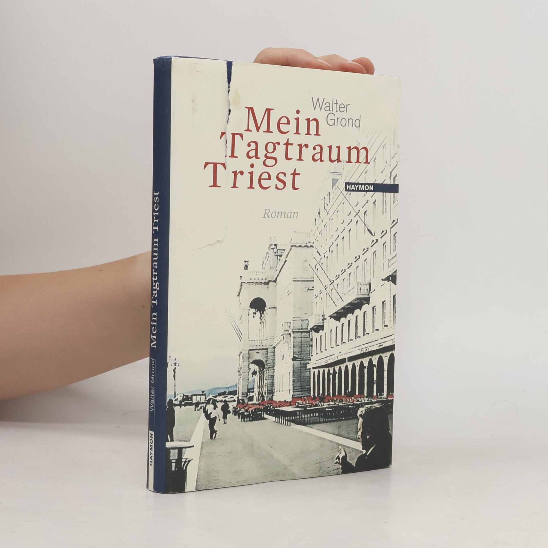 Walter Grond Mein Tagtraum Triest