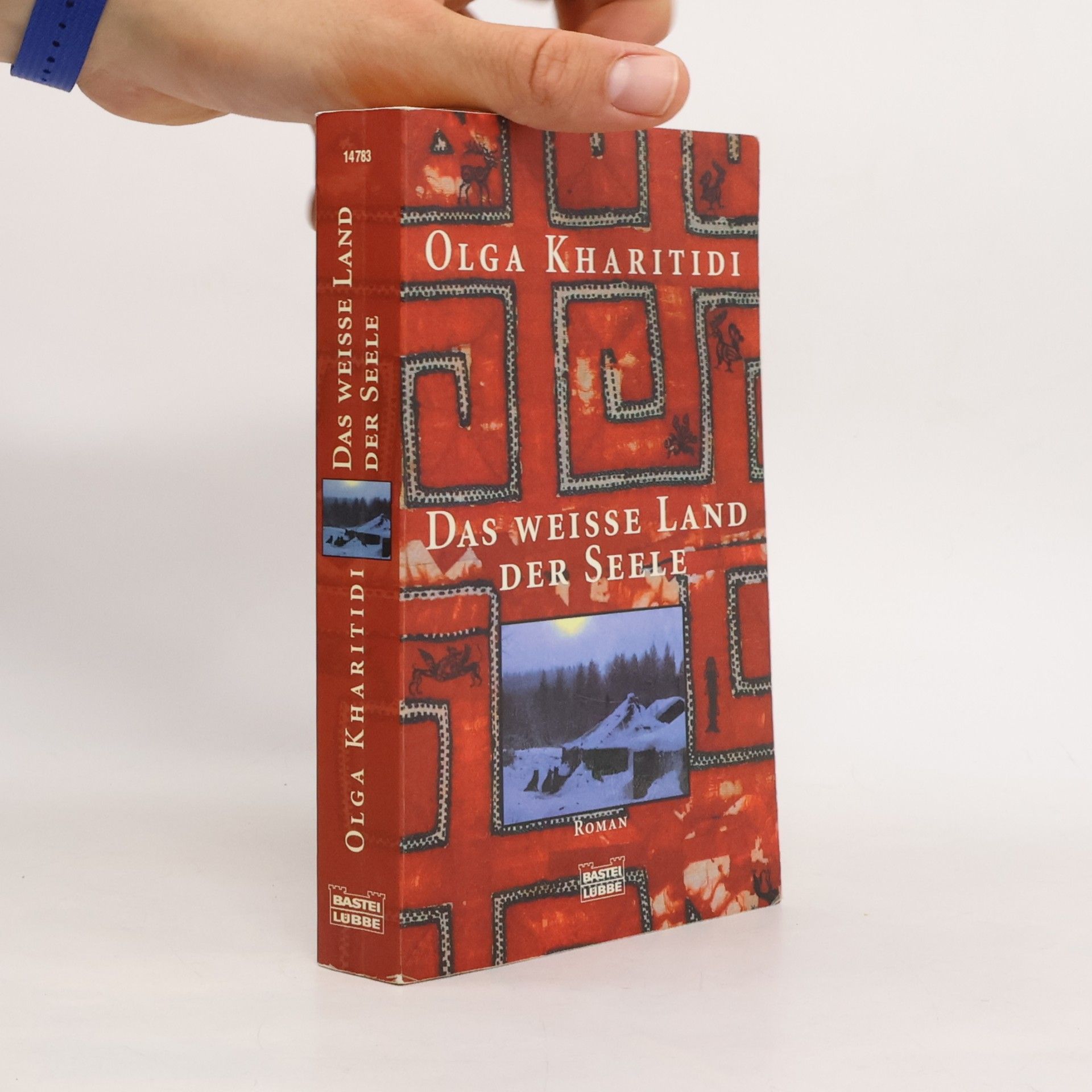 Olga Kharitidi Das weiße Land der Seele