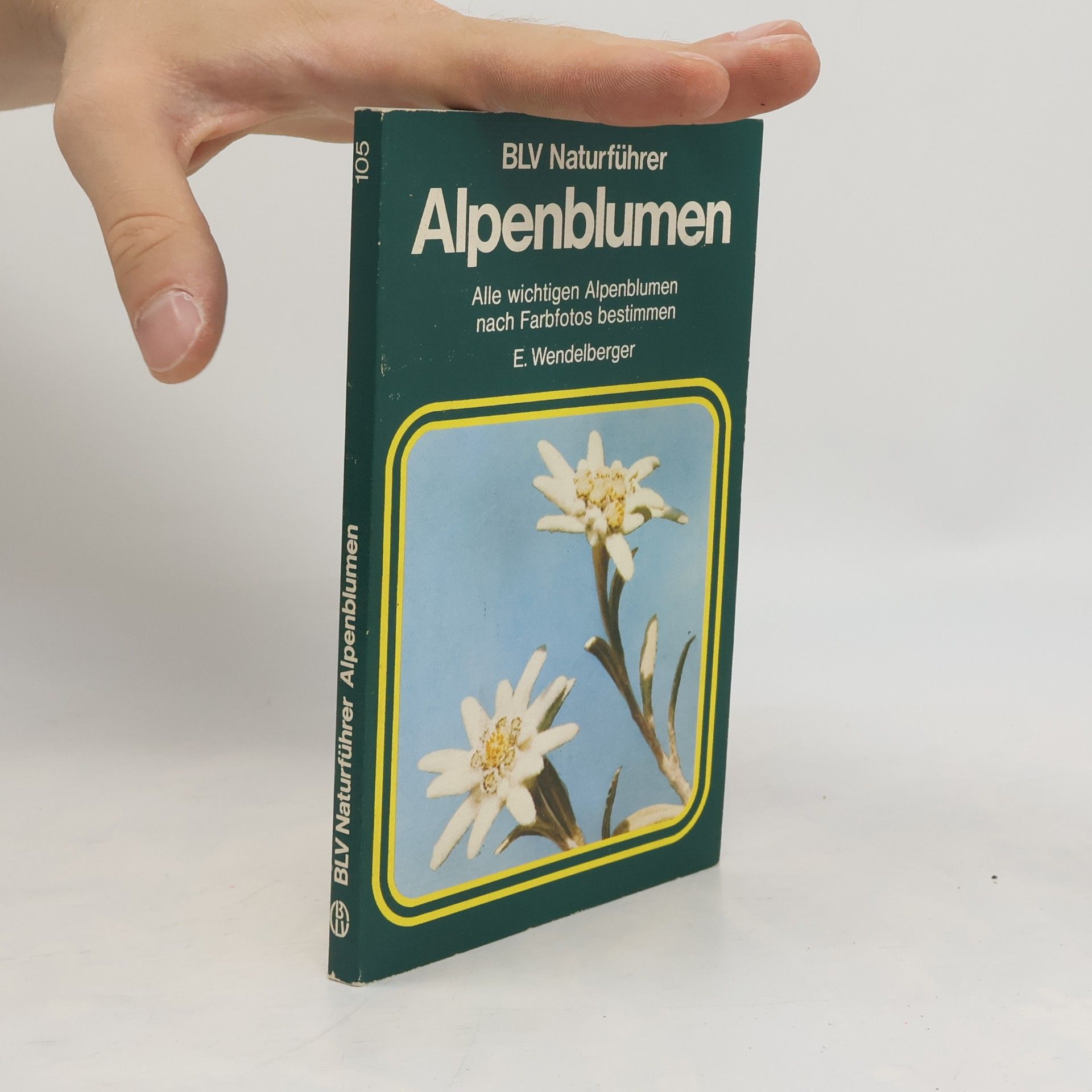Elfrune Wendelberger Alpenblumen