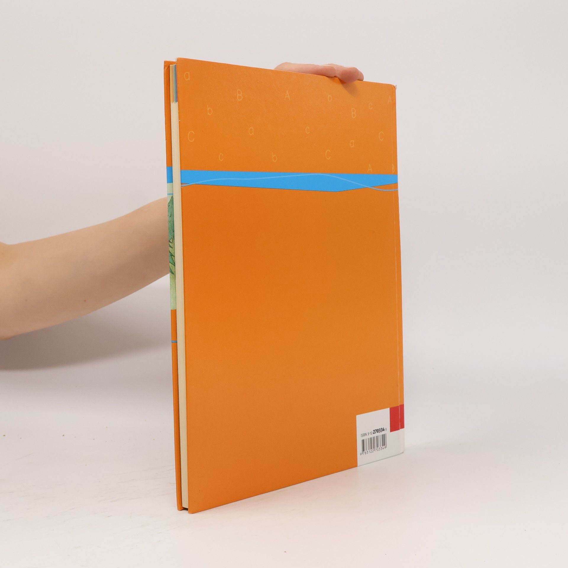 Anne Braun Das Bücherwurm Lesebuch