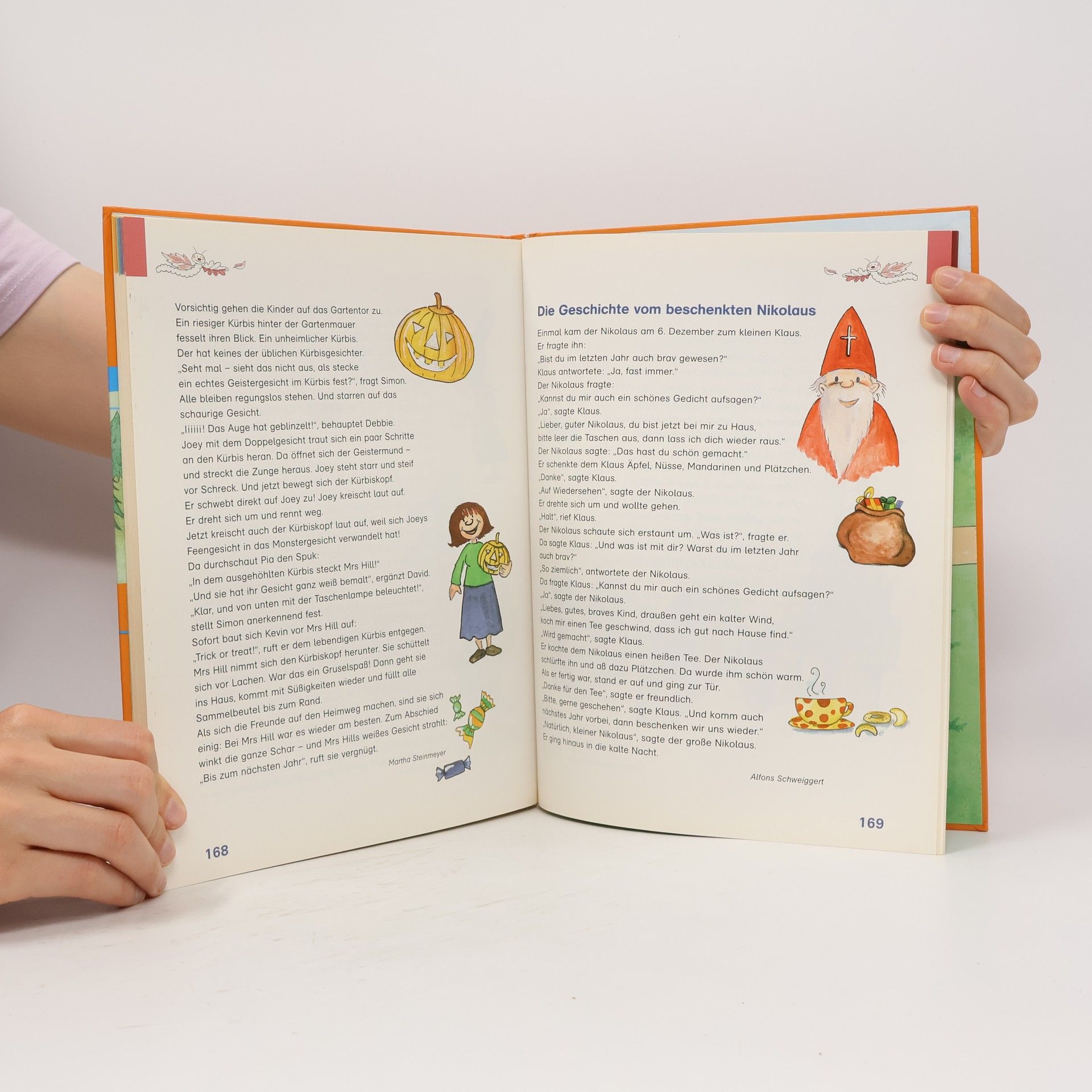 Anne Braun Das Bücherwurm Lesebuch