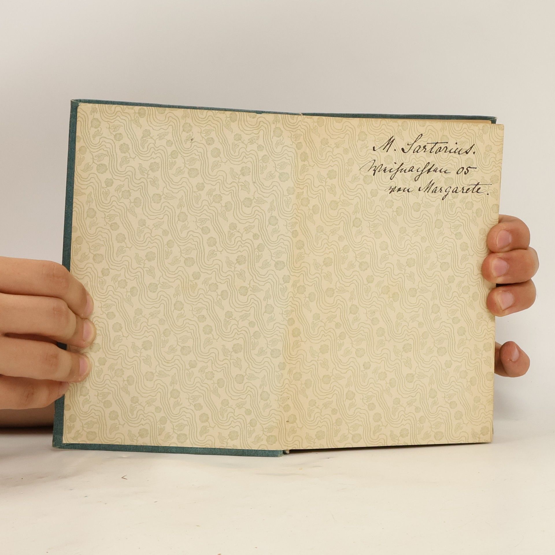 Adalbert Stifter Studien
