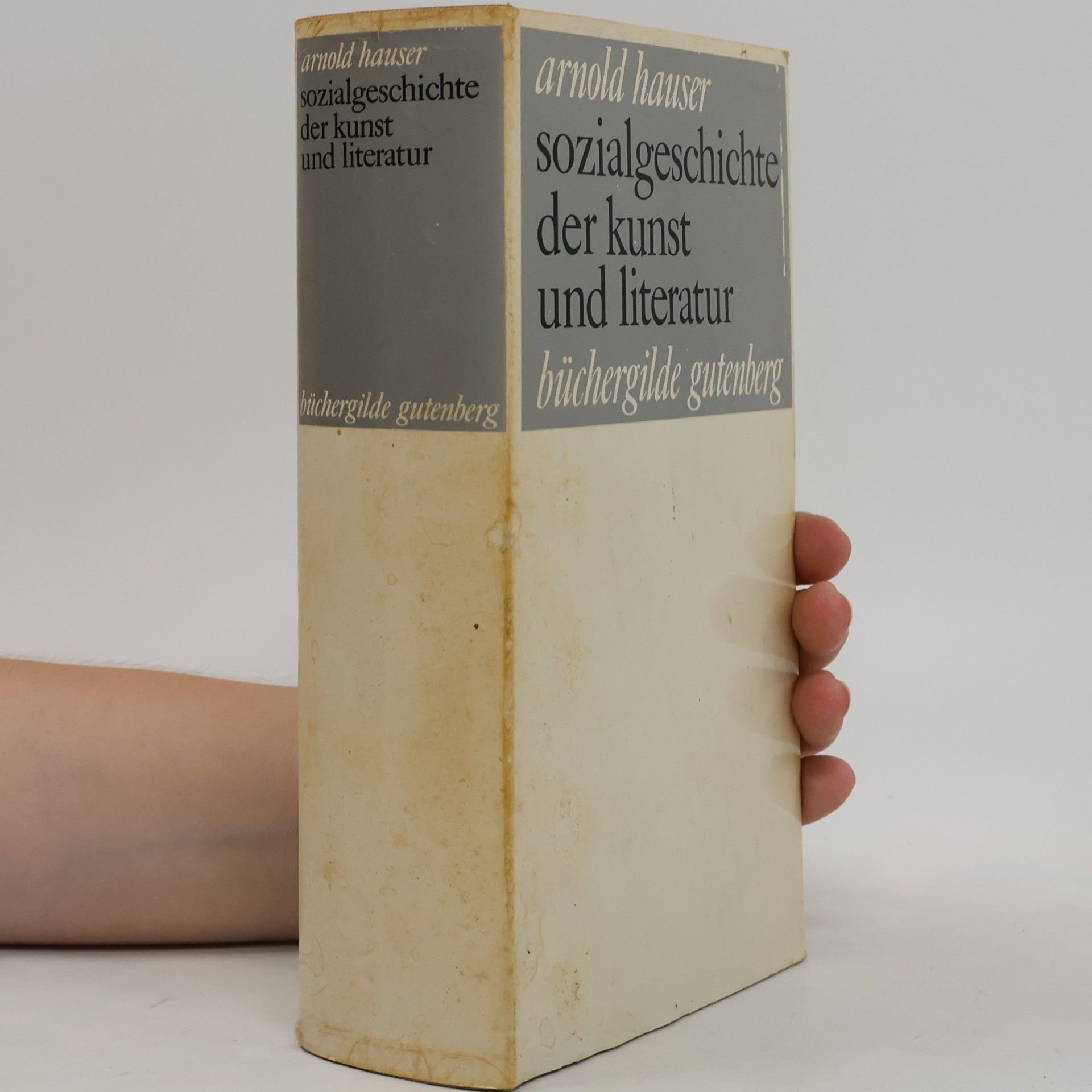 Arnold Hauser Sozialgeschichte der Kunst und Literatur