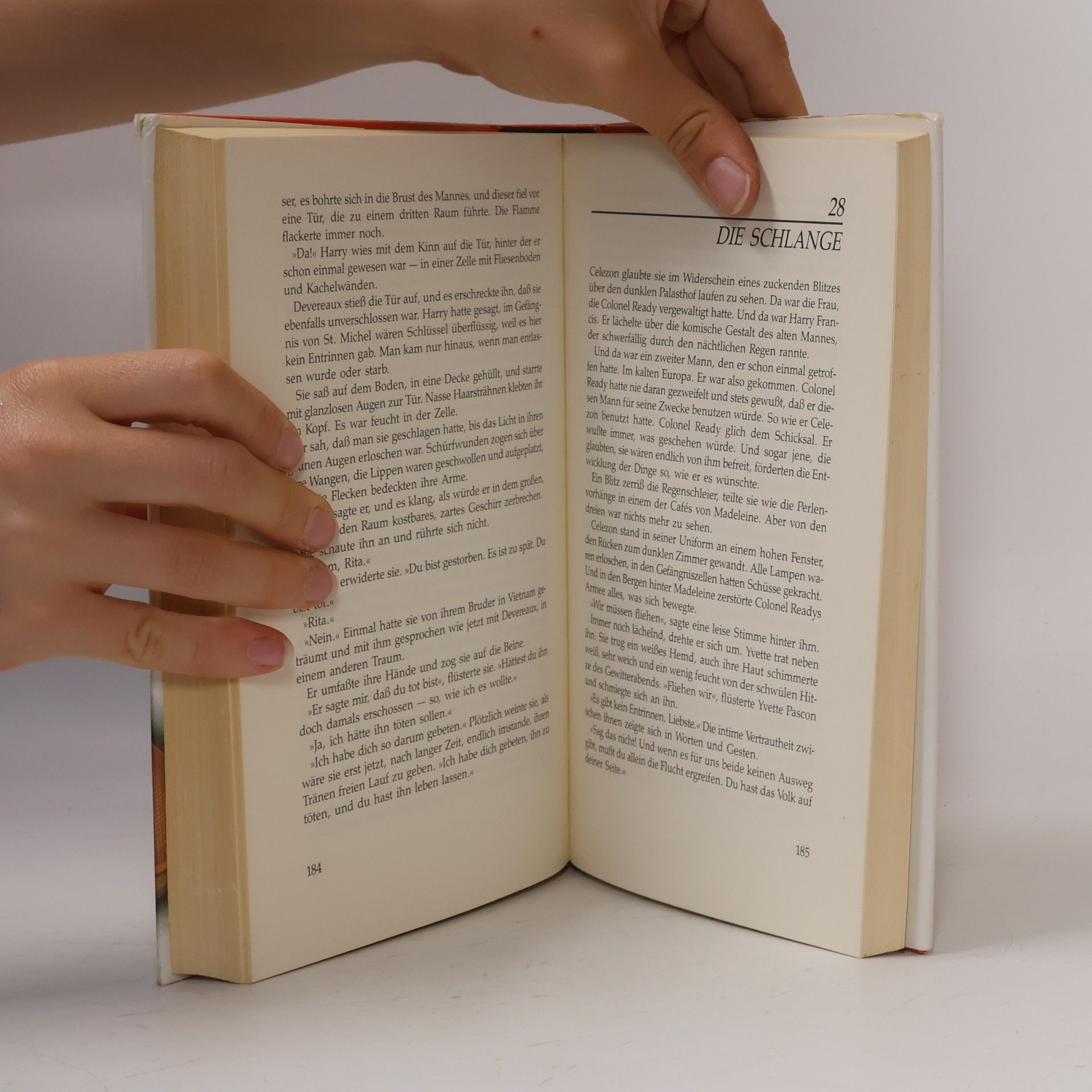 Bill Granger Hemingways Tagebuch