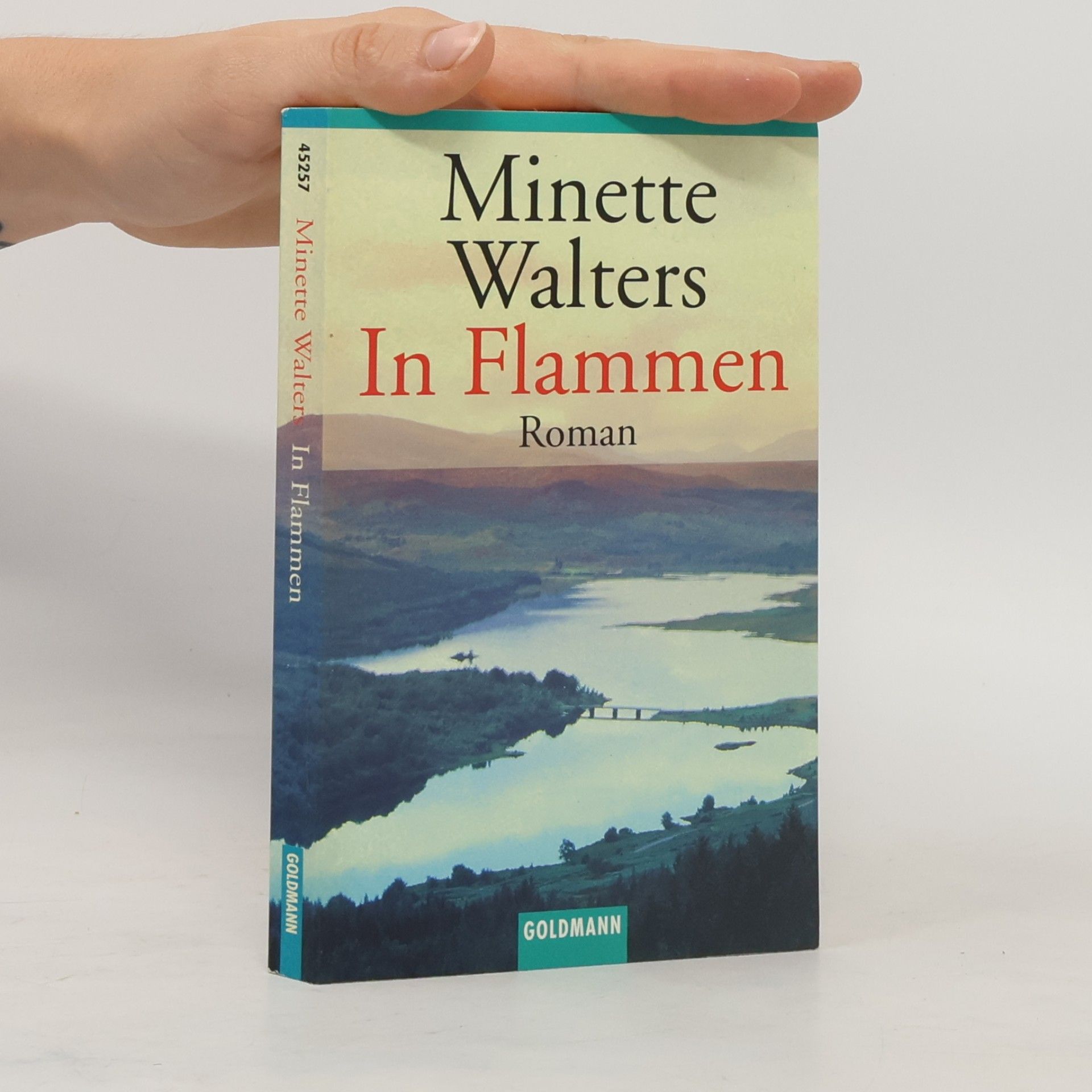 Minette Walter In Flammen