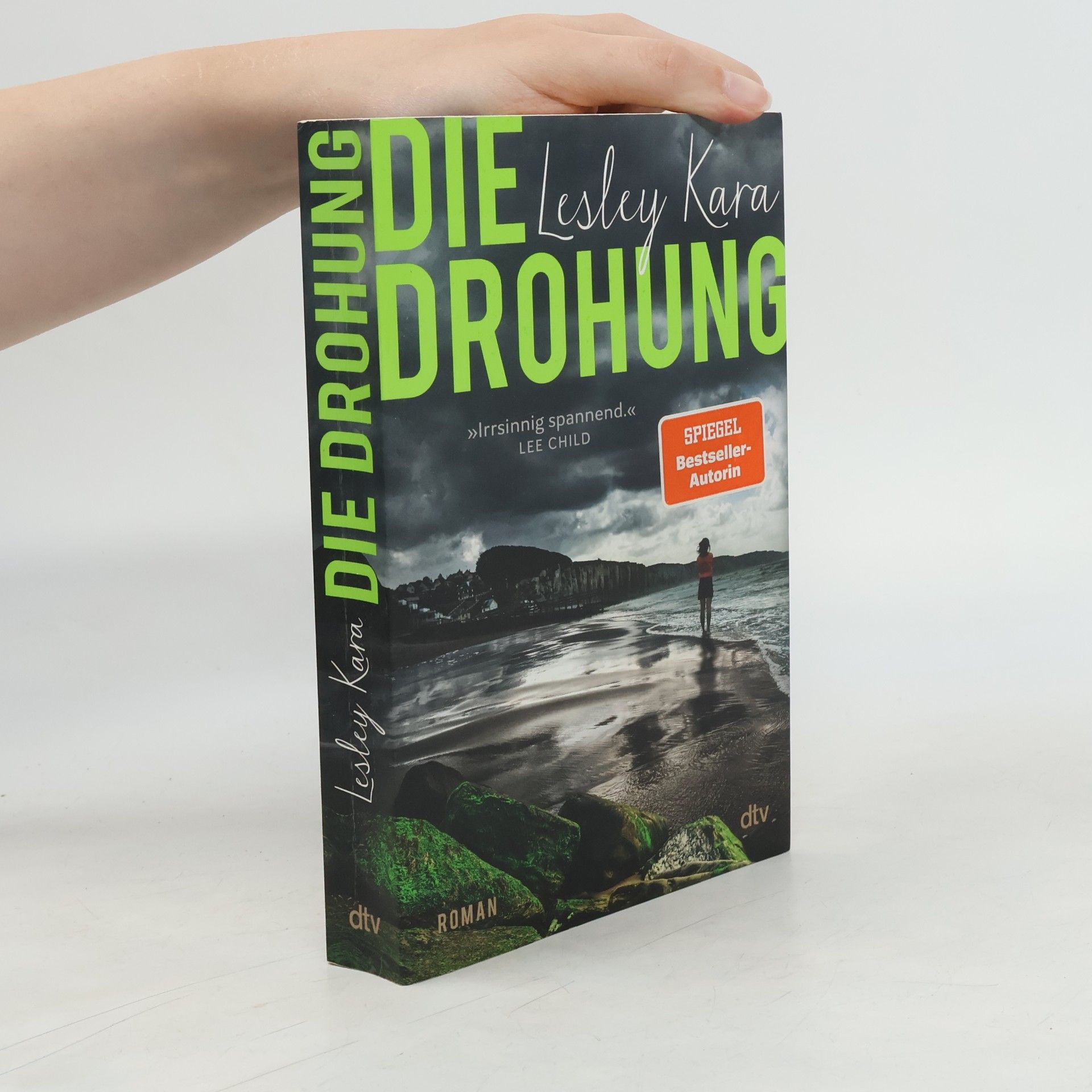 Lesley Kara Die Drohung