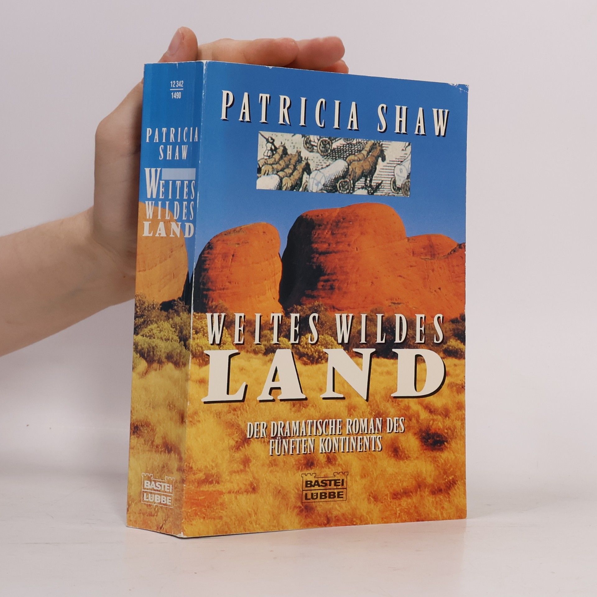 Patricia Shaw Weites wildes Land