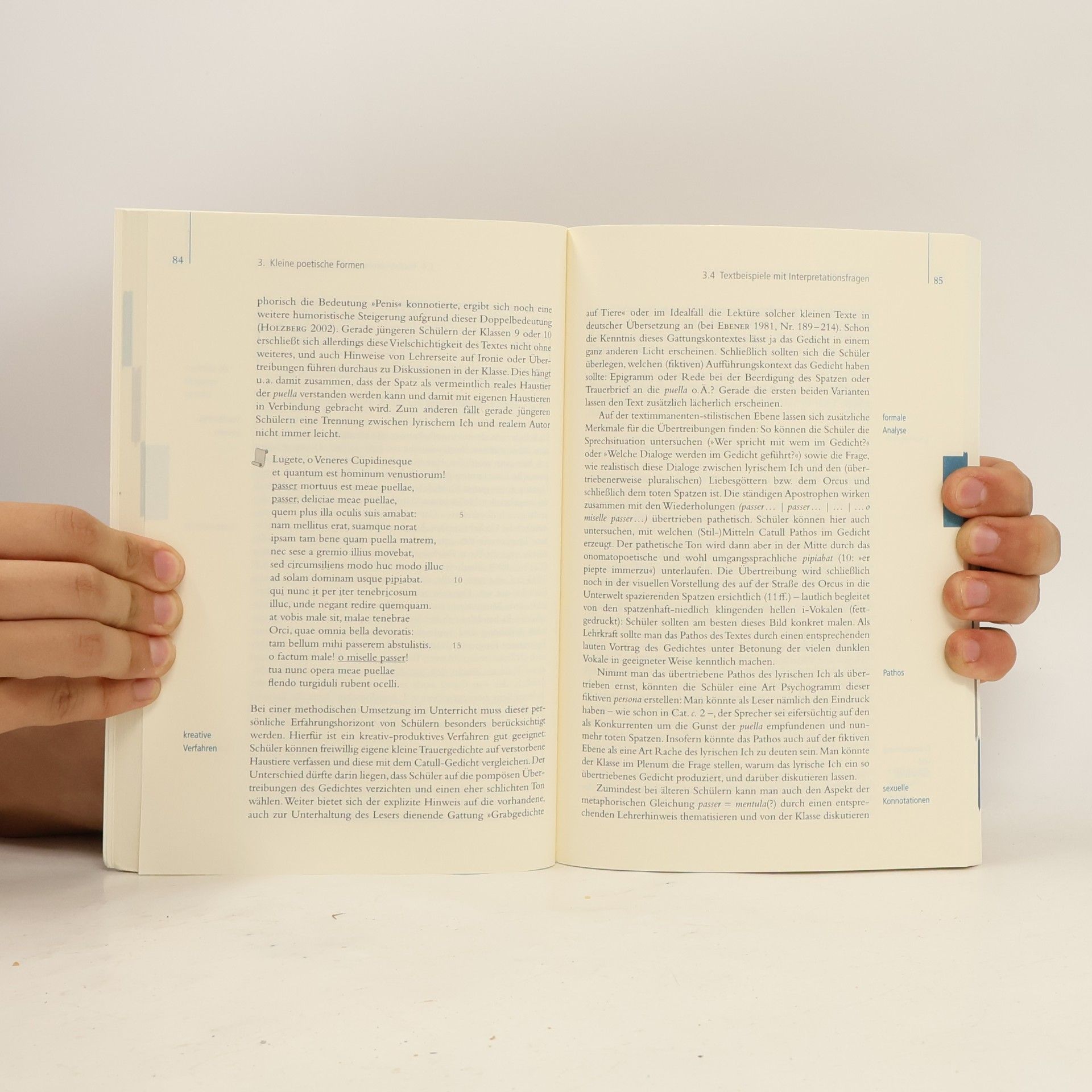Peter Kuhlmann Studienbücher Latein: Lateinische Literaturdidaktik