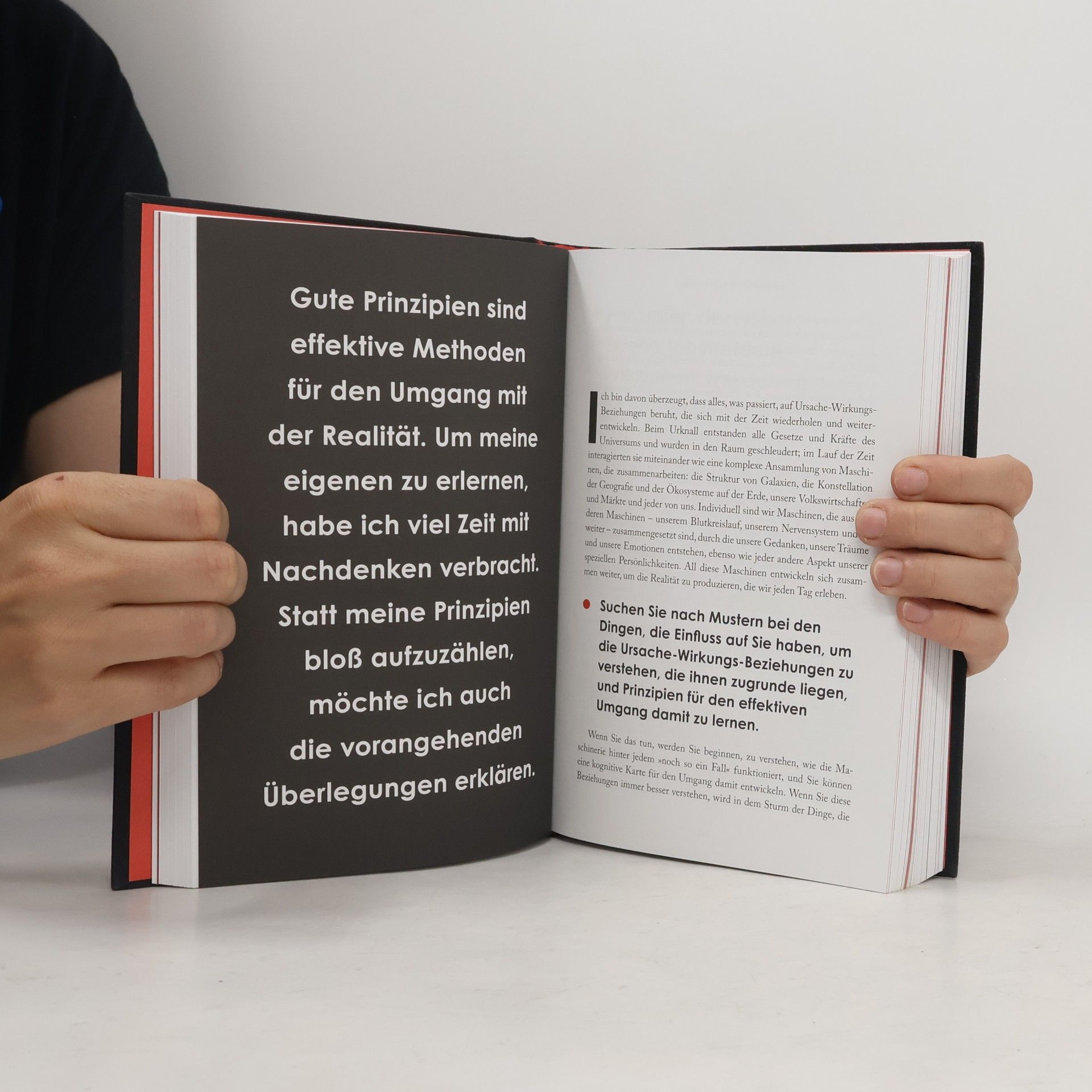 Ray Dalio Die Prinzipien des Erfolgs