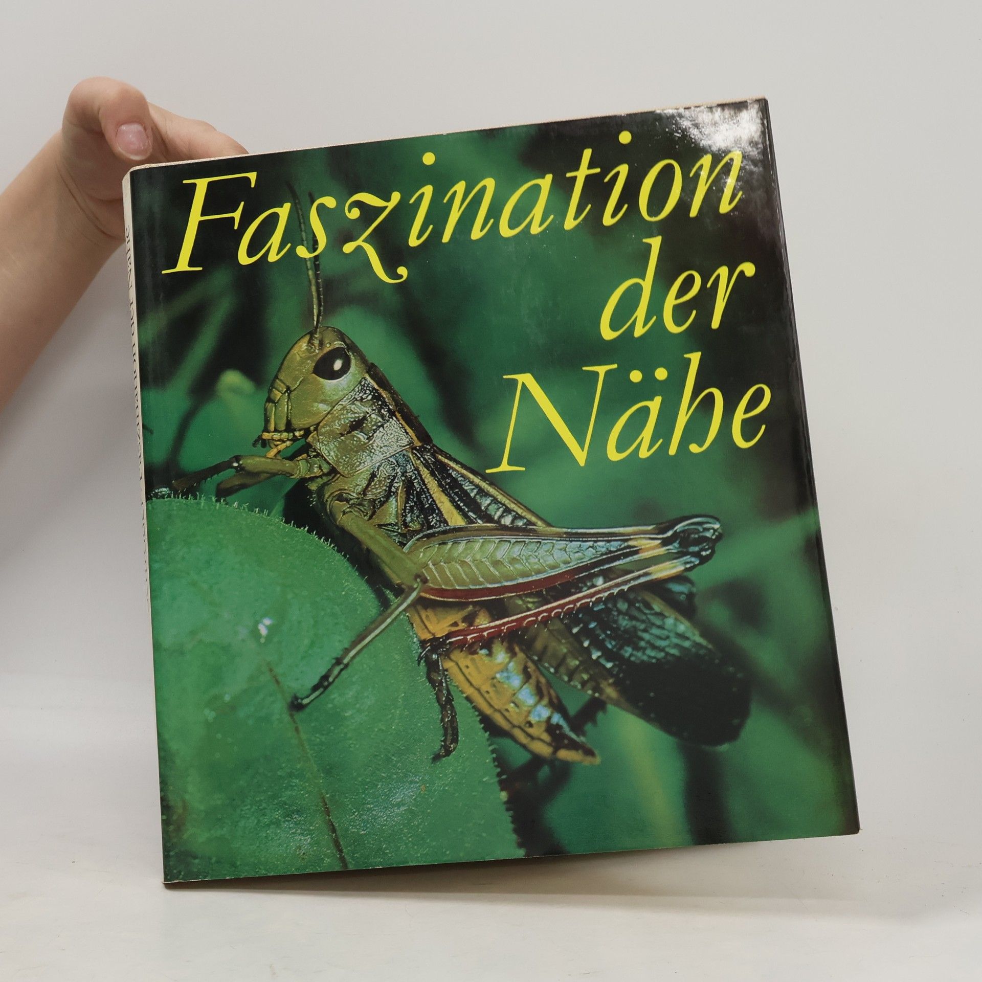 Horst Schroder Faszination der Nähe