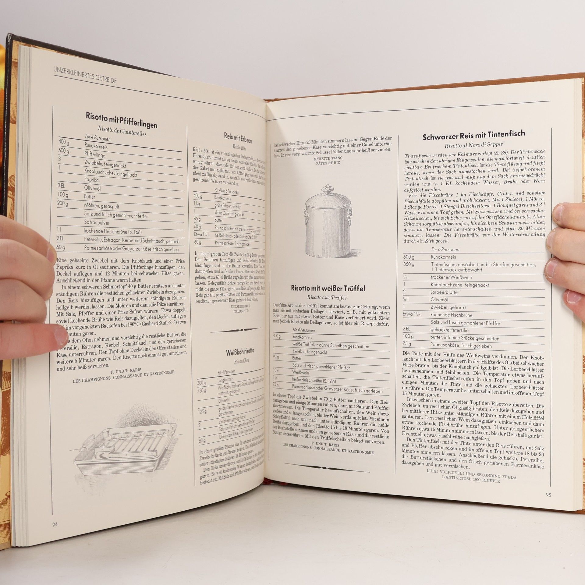 Autorenkollektiv Nährmittel und Hülsenfrüchte