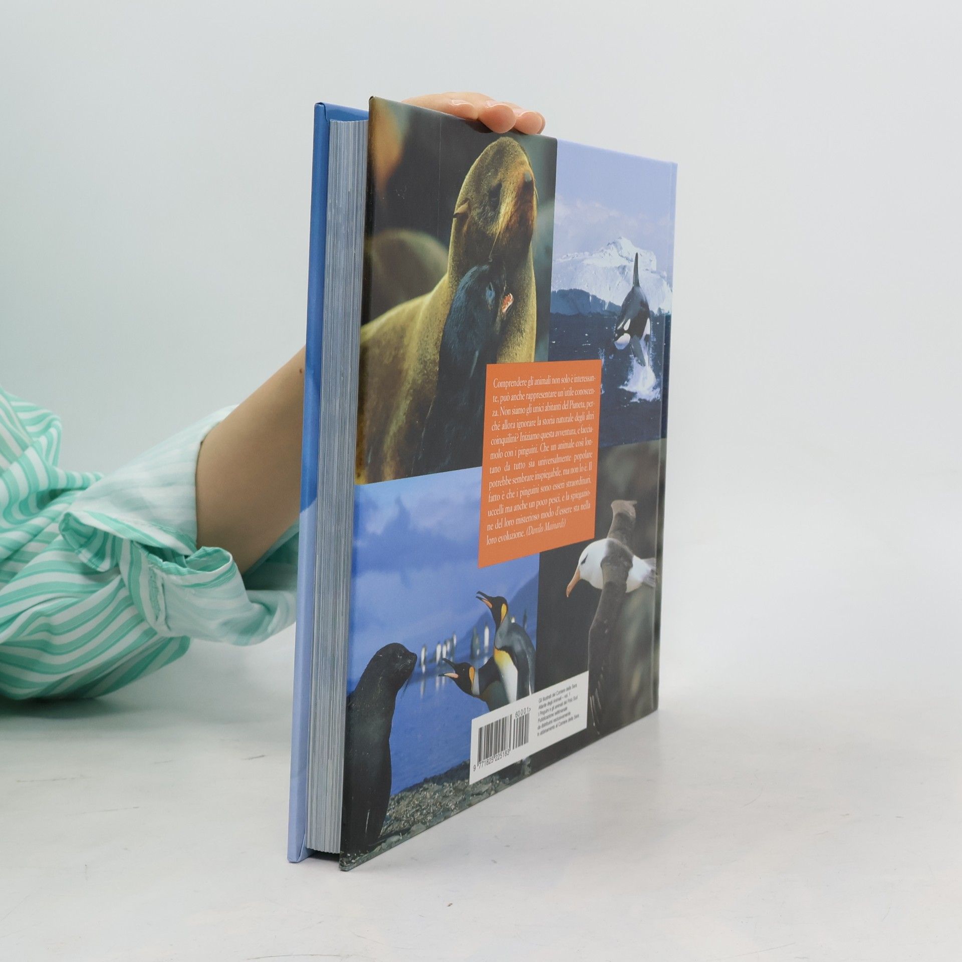 Autorenkollektiv I pinguini e gli animali del polo sud