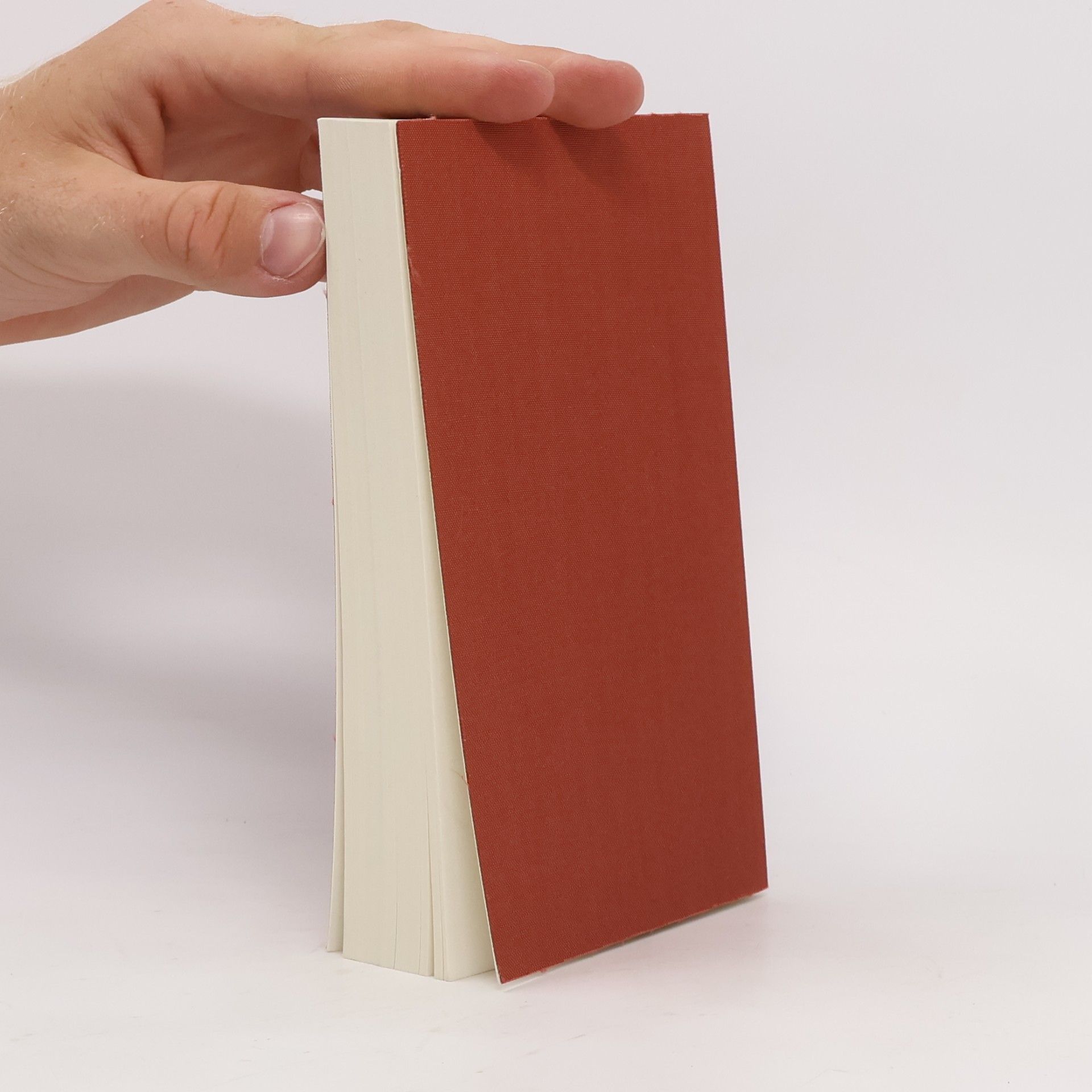 Walter Benjamin Gesammelte Schriften II.1