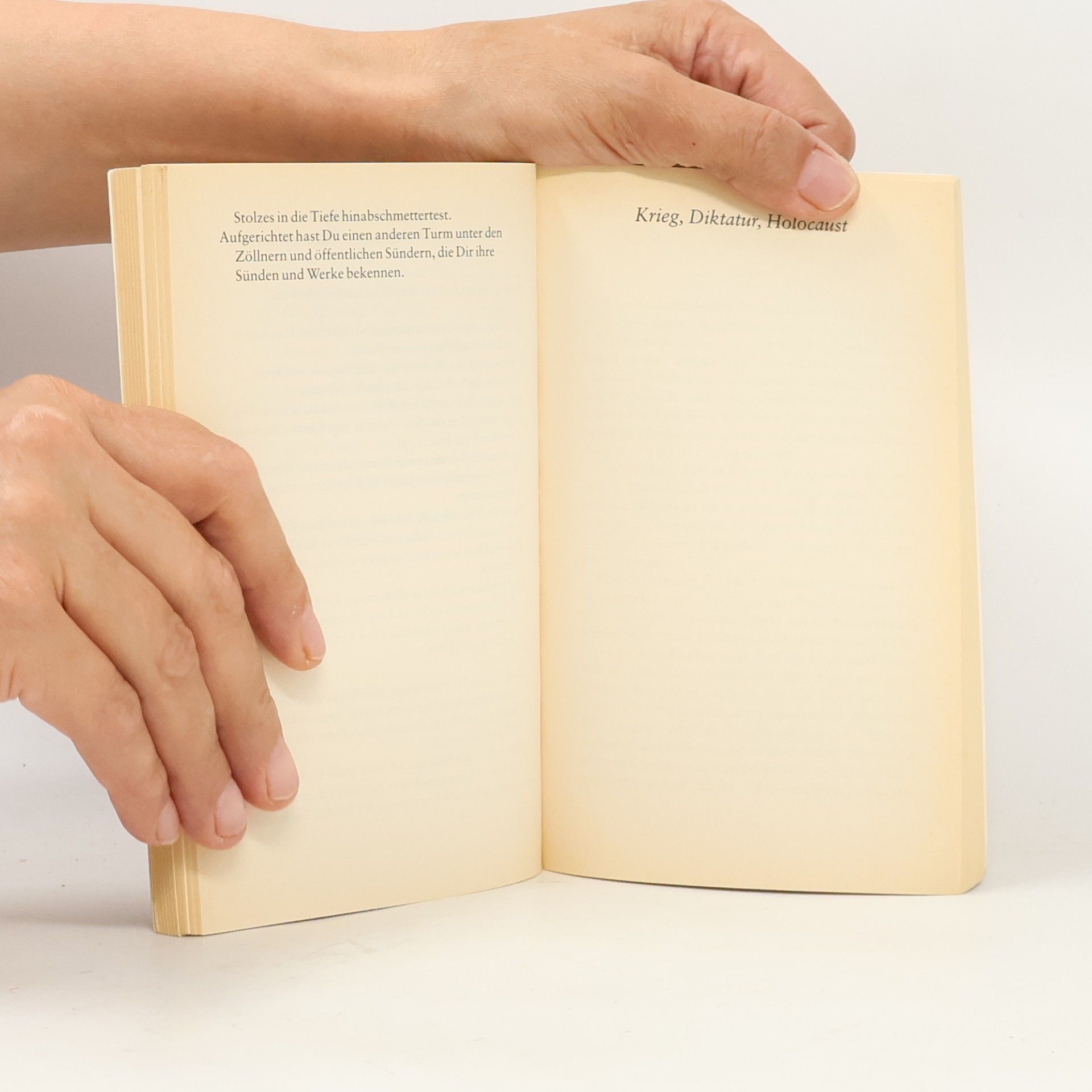 Luise F. Pusch Handbuch für Wahnsinnsfrauen