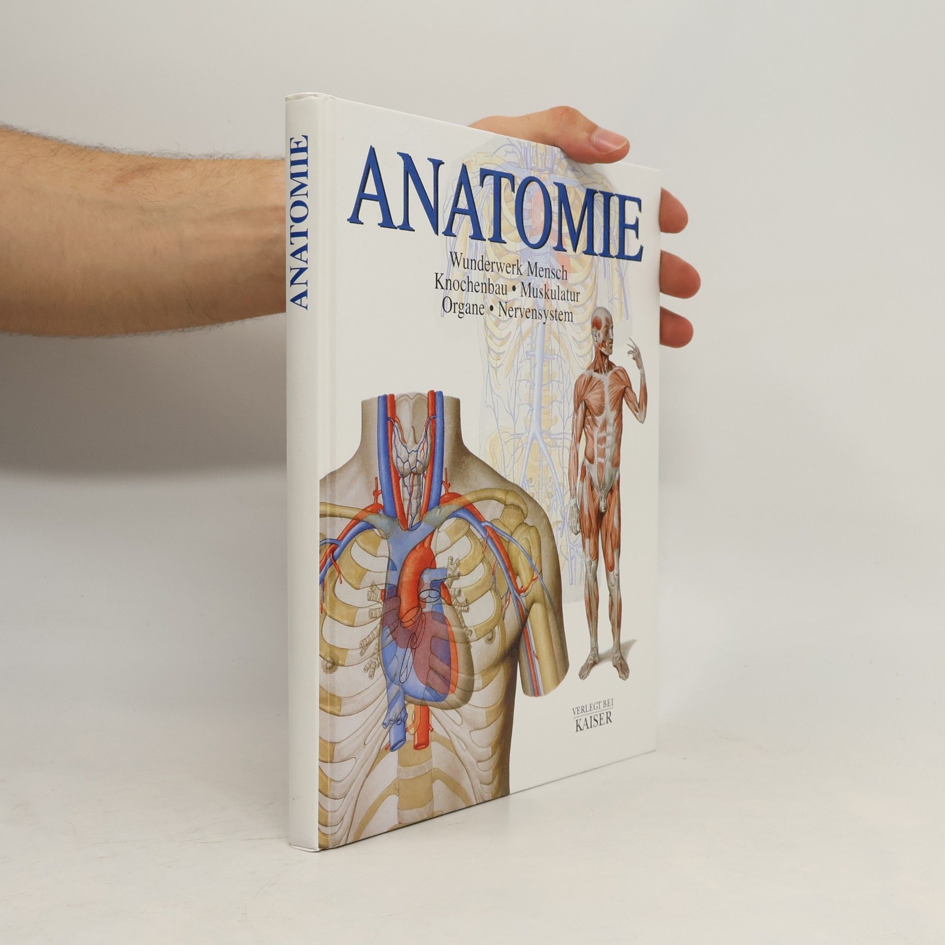 Carmen Schöninger Anatomie