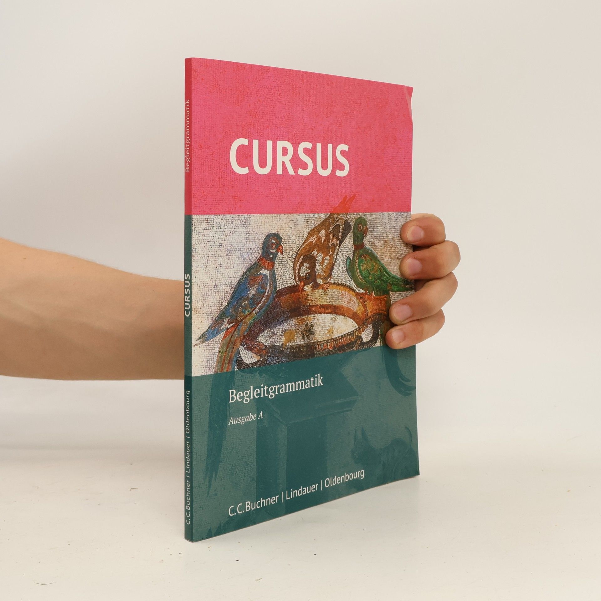 Michael Hotz Cursus - Ausgabe A: Begleitgrammatik