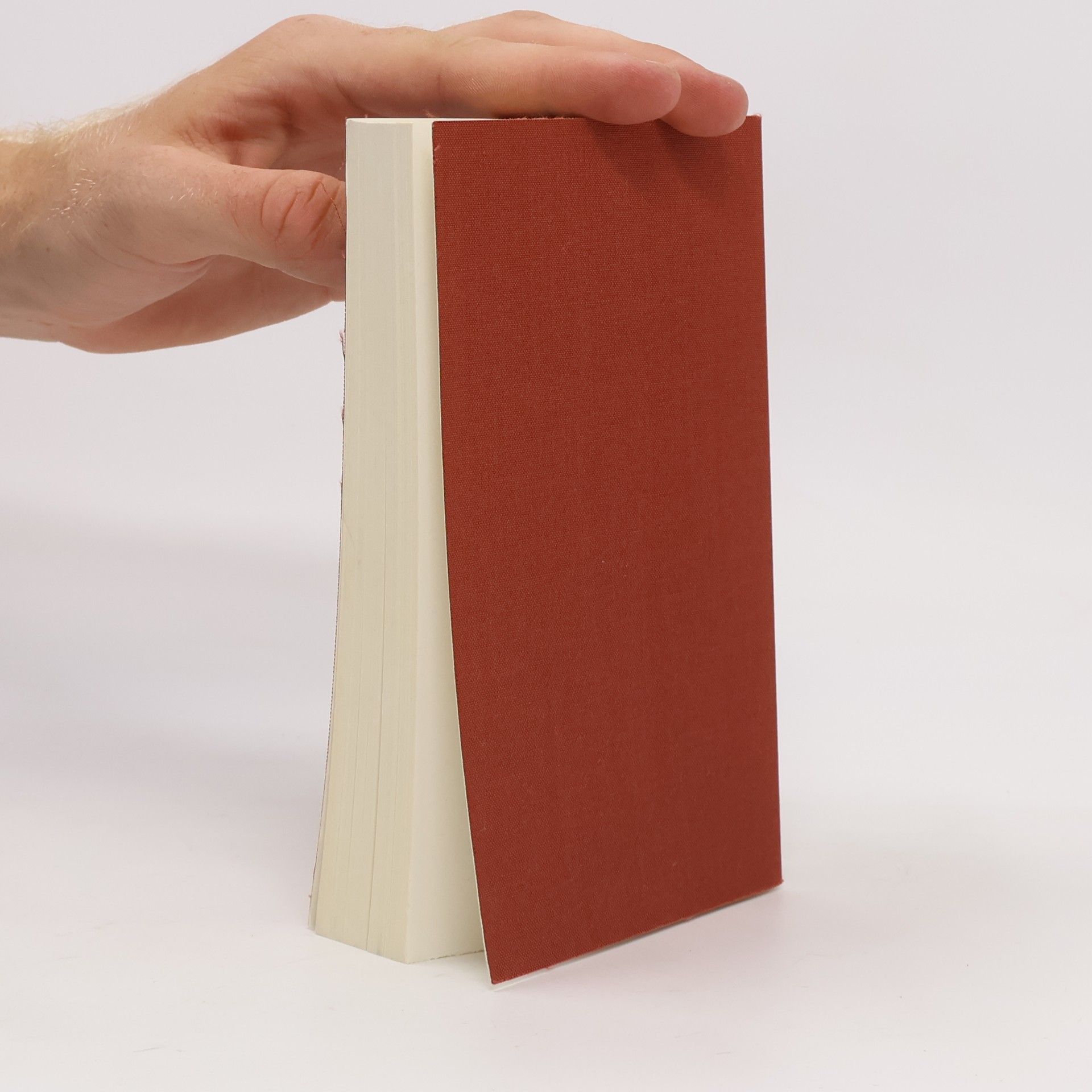 Walter Benjamin Gesammelte Schriften I.-2