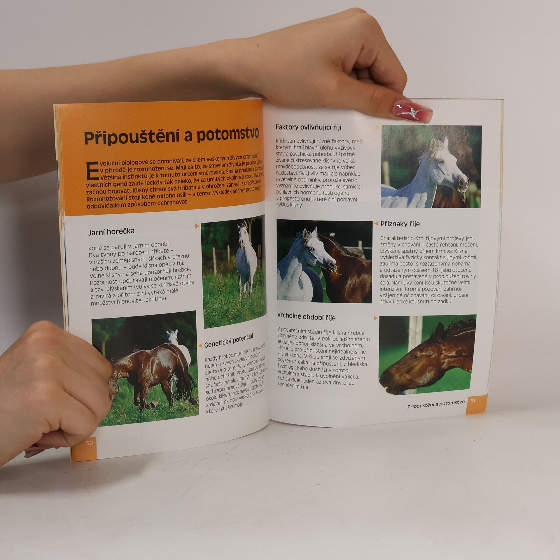 Sibylle Luise Binder Co si myslí kůň : úplný pohled na chování koně