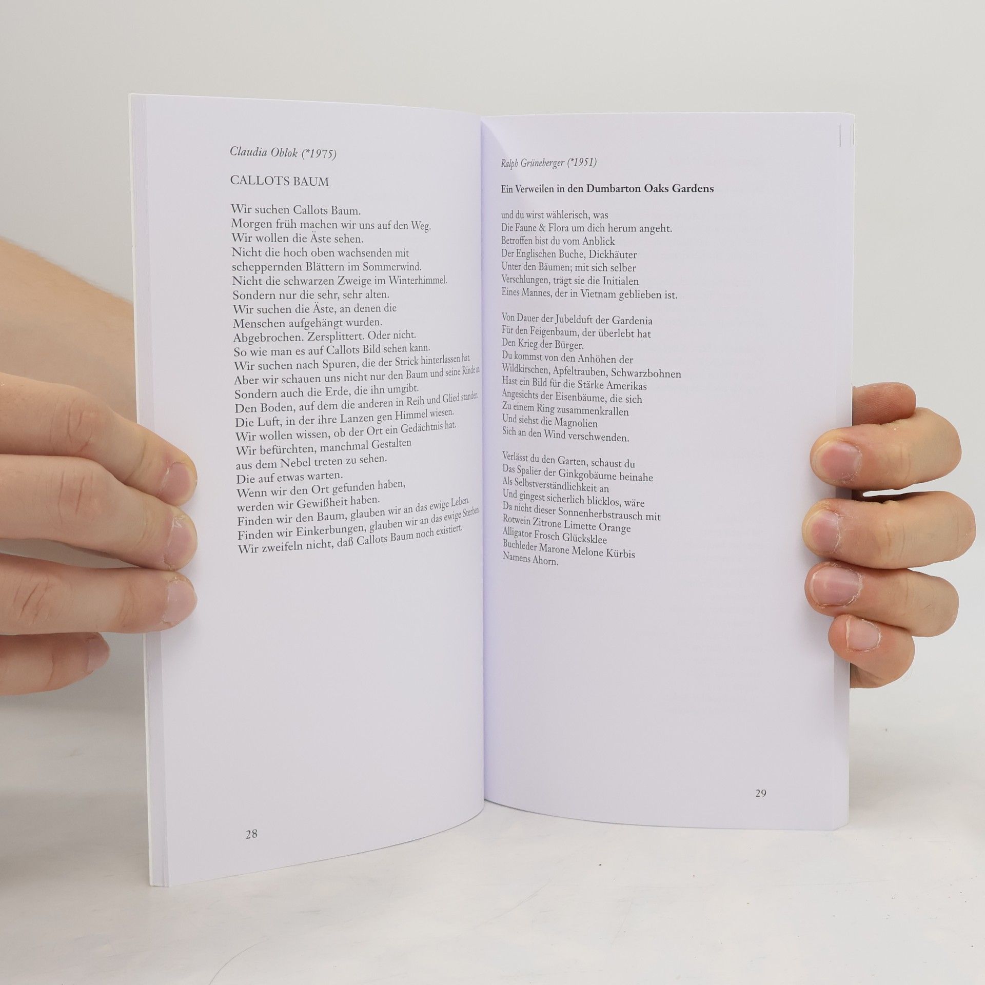 Autorenkollektiv Poesiealbum neu: Steinbrech