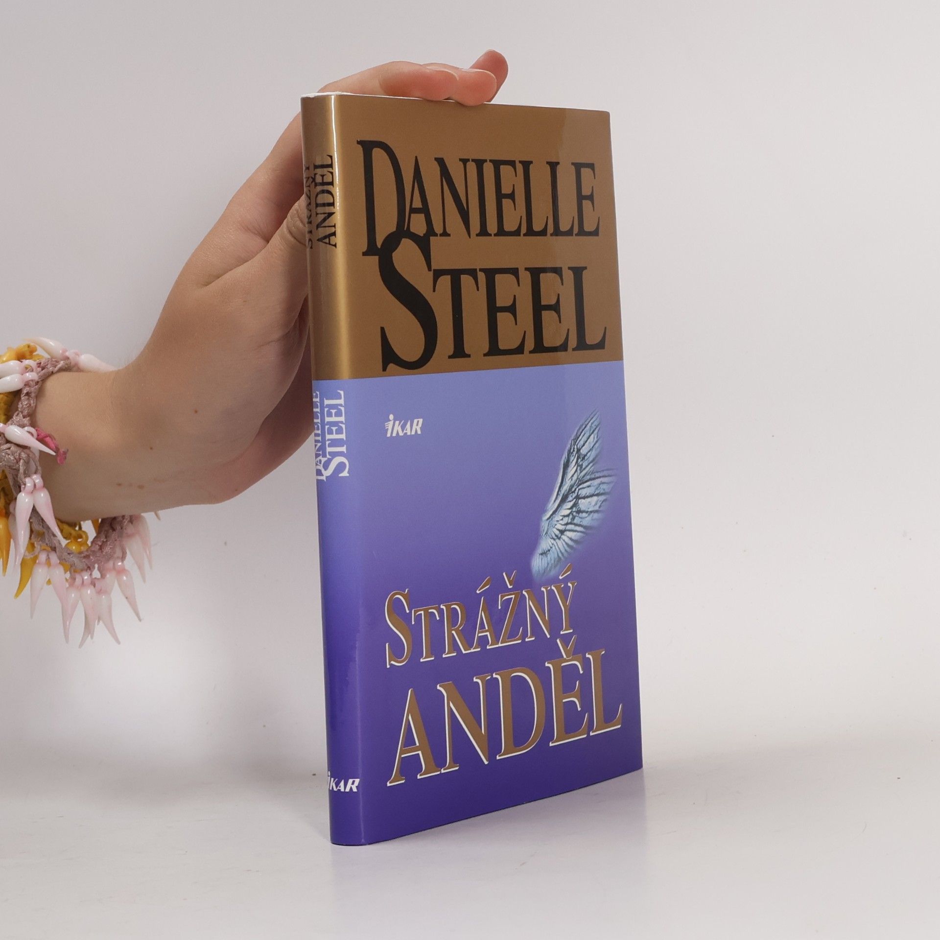 Danielle Steel Strážný anděl