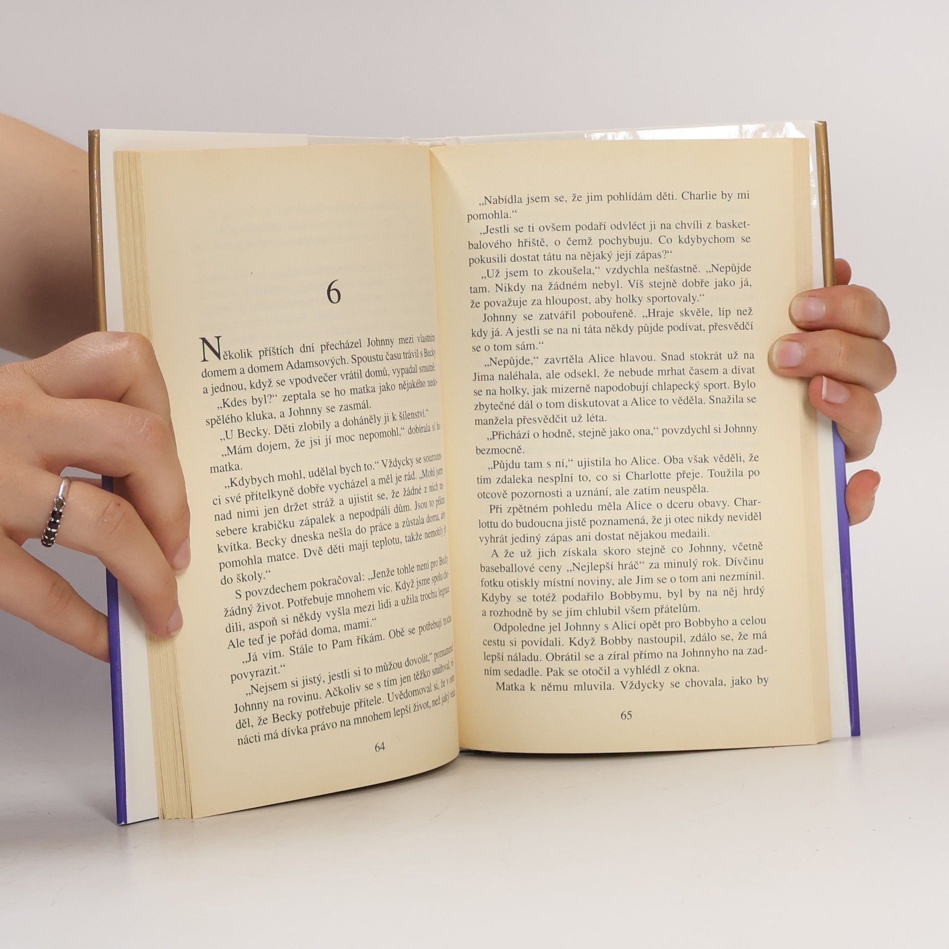 Danielle Steel Strážný anděl
