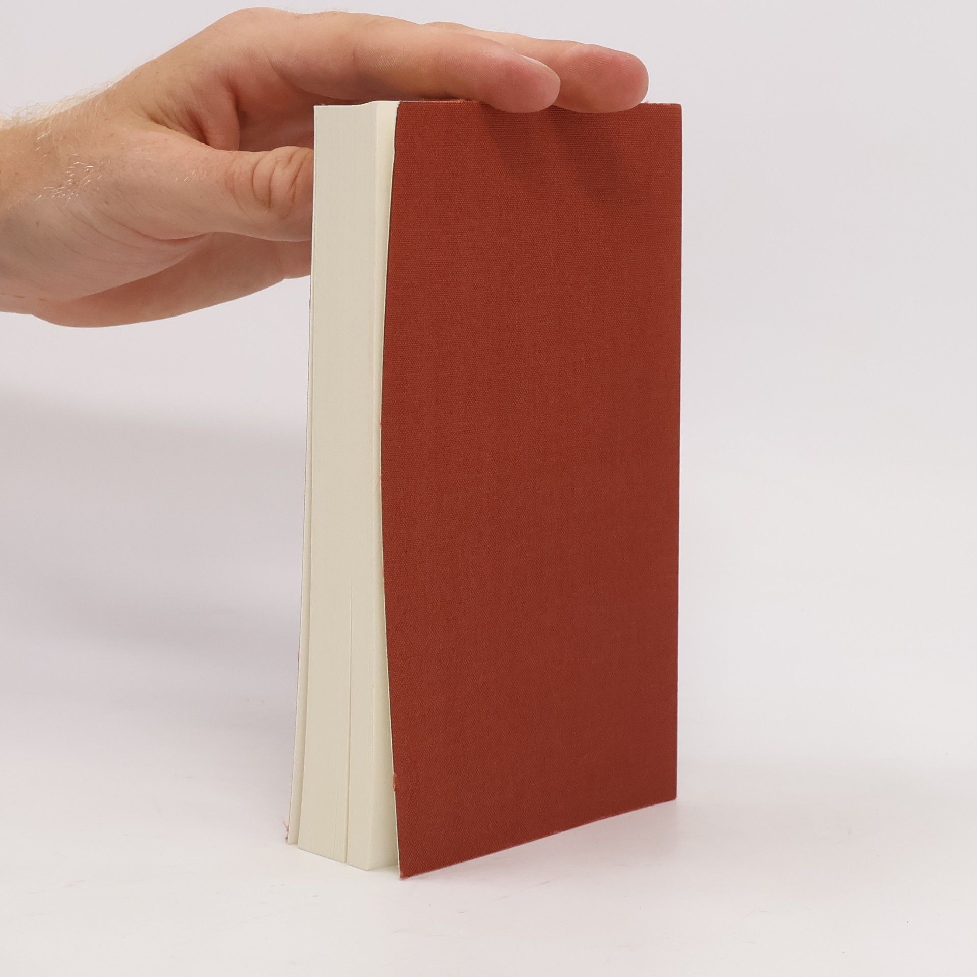 Walter Benjamin Gesammelte Schriften. Band III