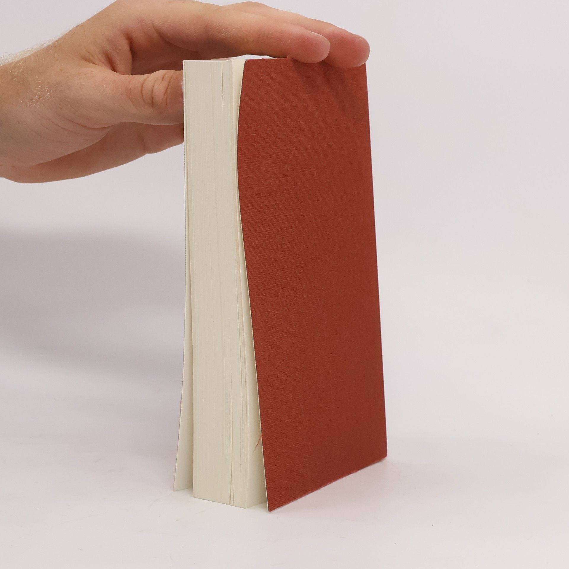 Walter Benjamin Gesammelte Schriften IV. 1