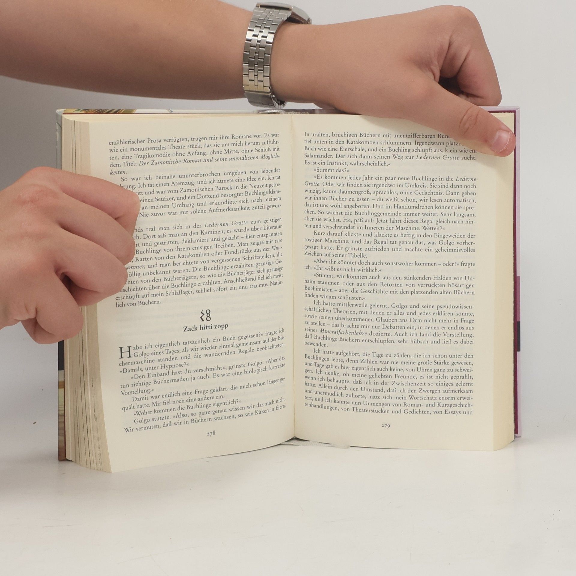 Walter Moers Die Stadt der Träumenden Bücher