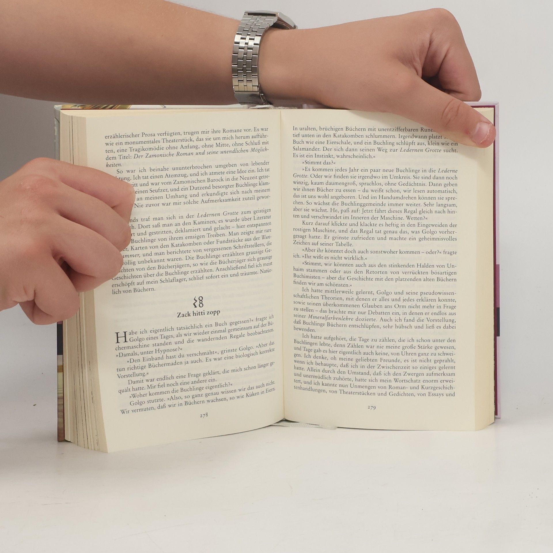 Walter Moers Die Stadt der Träumenden Bücher