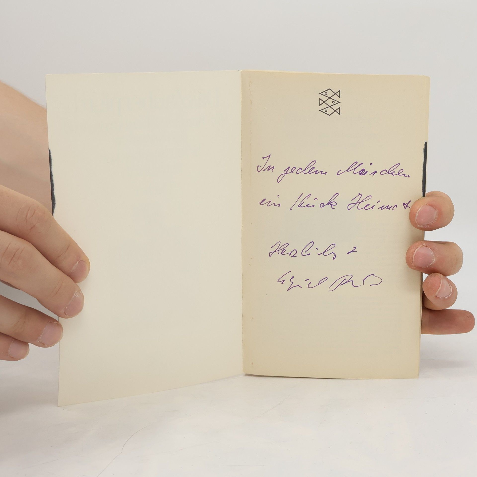 Sigrid Früh Das Zauberpferd