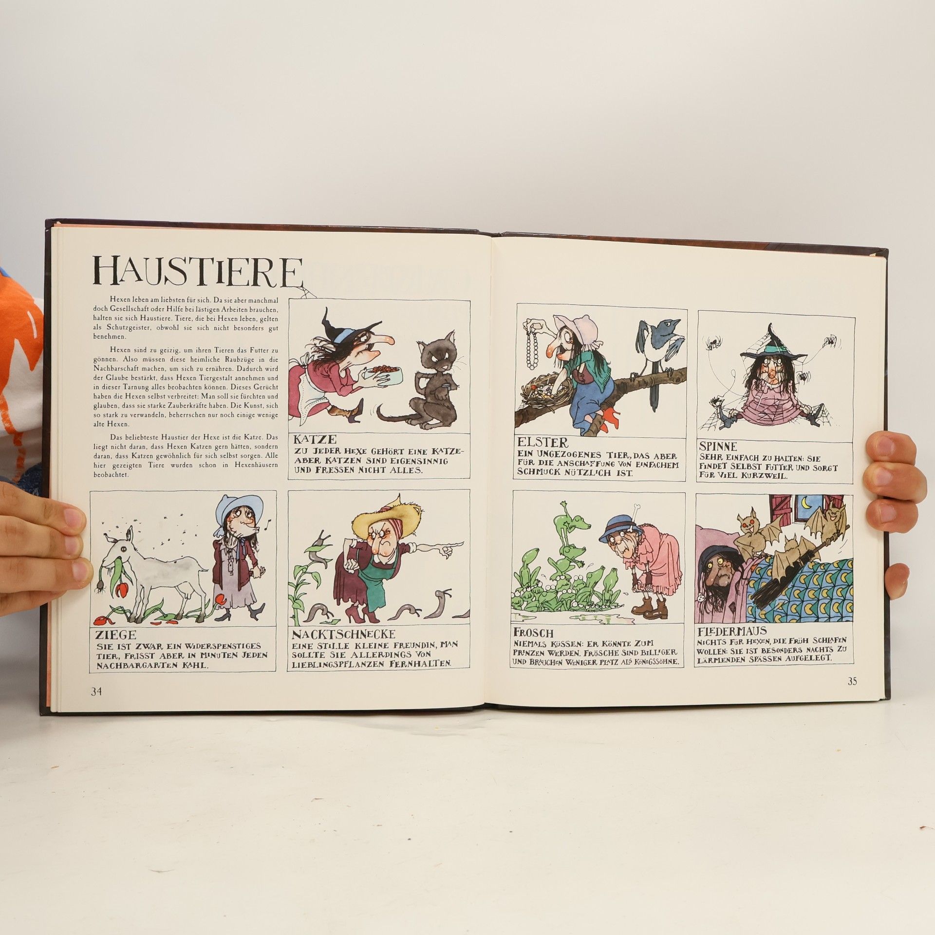 Malcolm Bird Das Hexenbuch für große Kinder