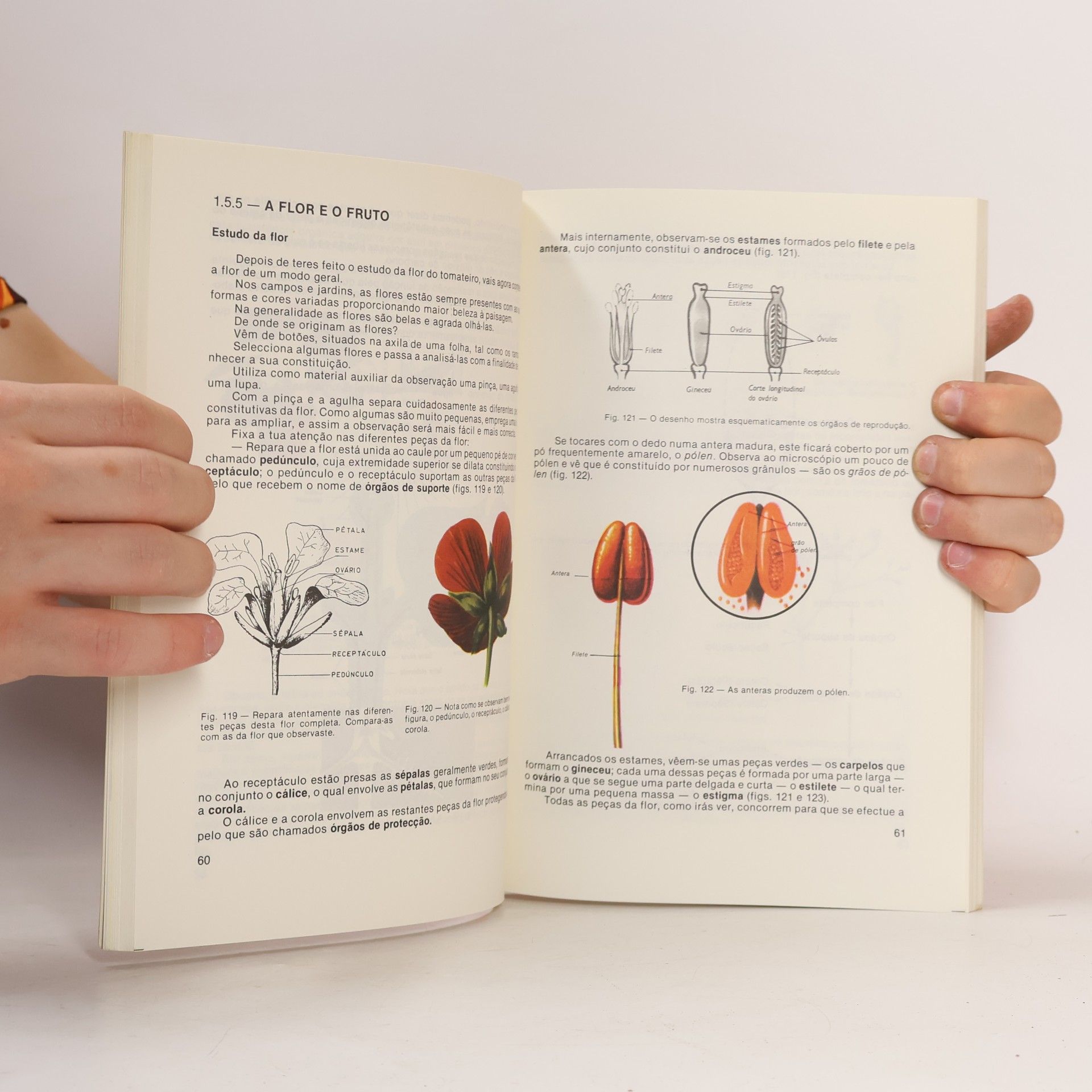 Various authors Ciências da Natureza