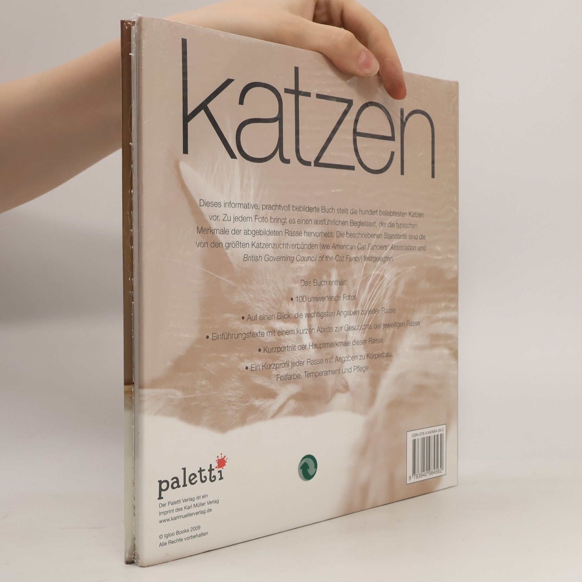 Autorenkollektiv Katzen