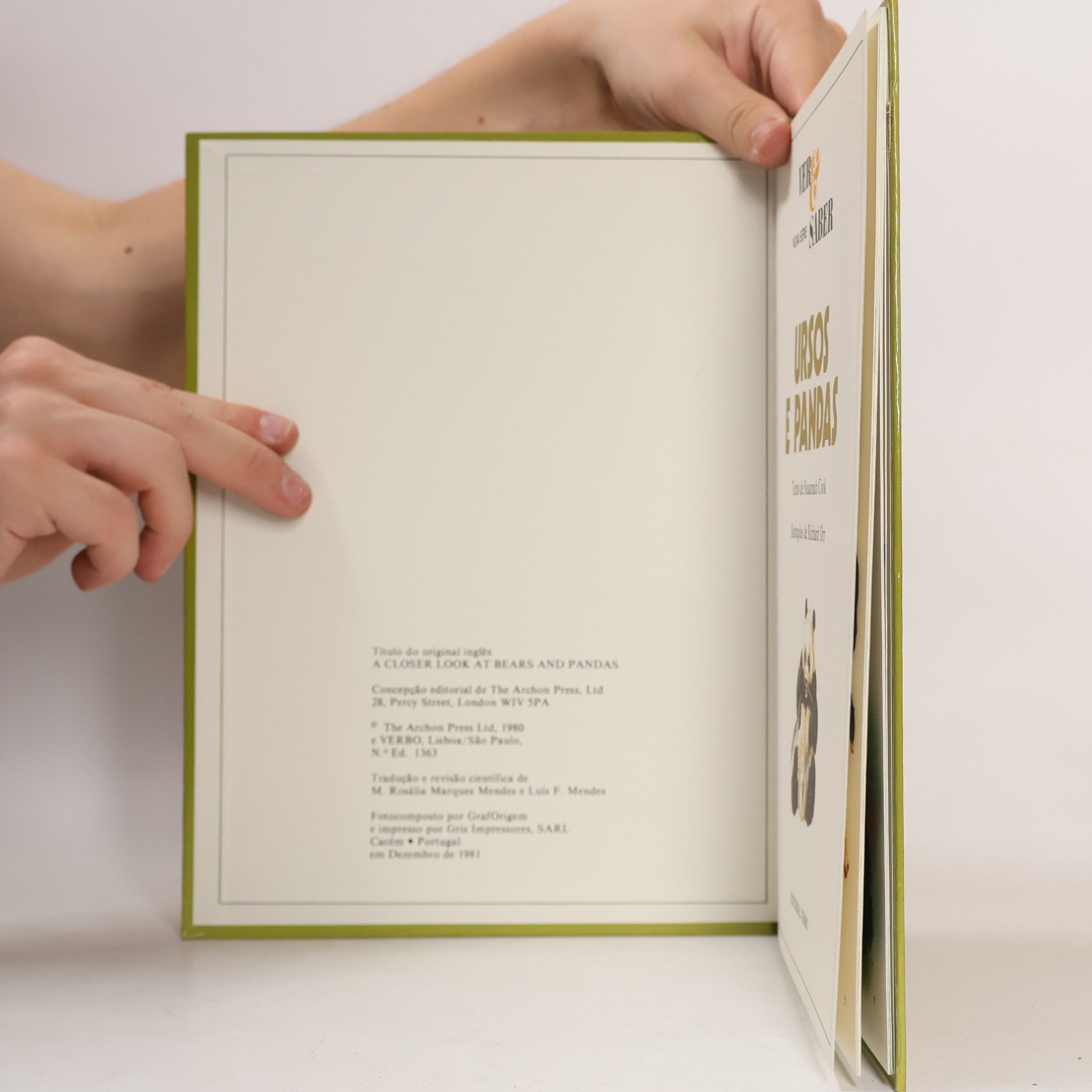 Various authors Ursos e Pandas