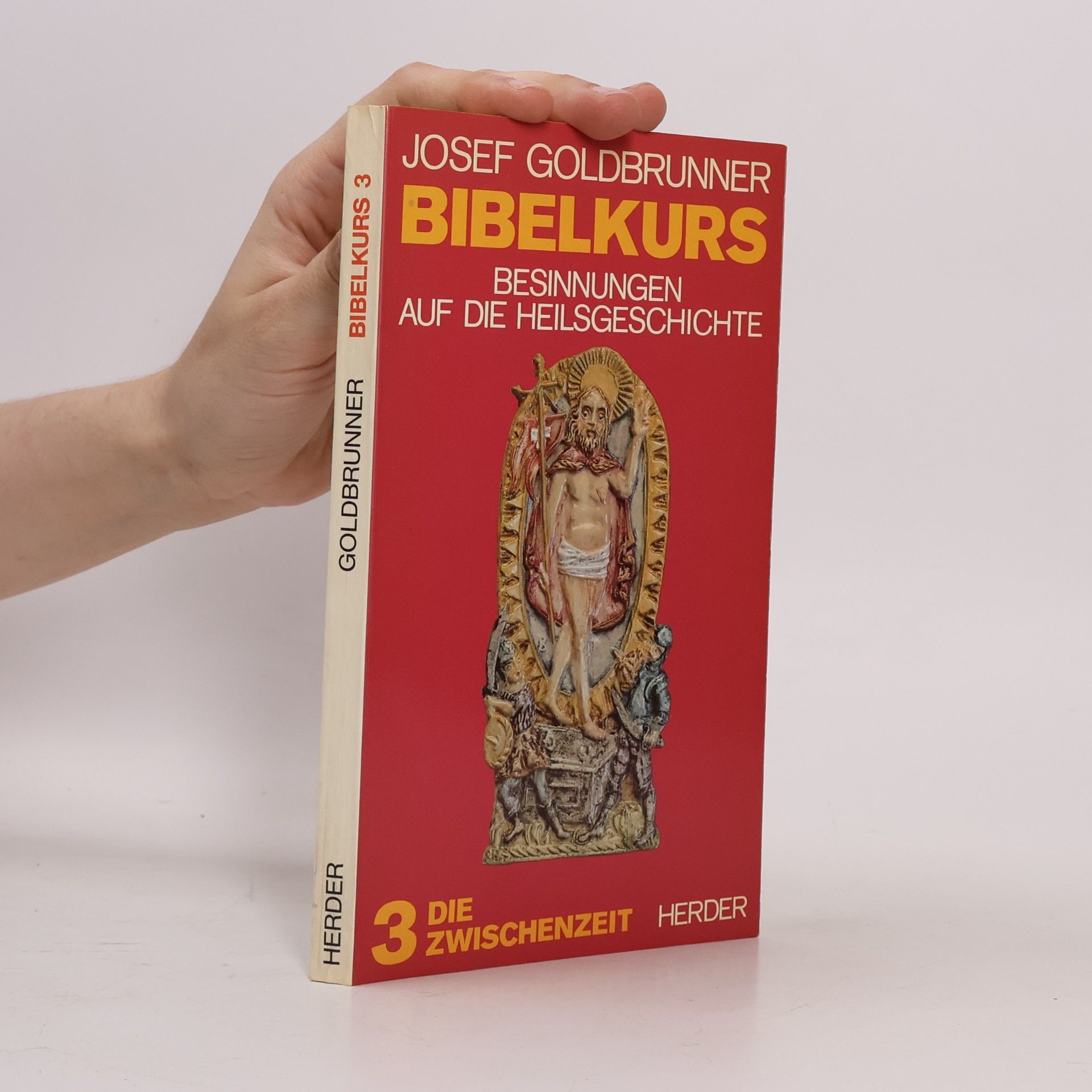 Josef Goldbrunner Bibelkurs : Besinnungen auf die Heilsgeschichte. Bd. 3, Die Zwischenzeit