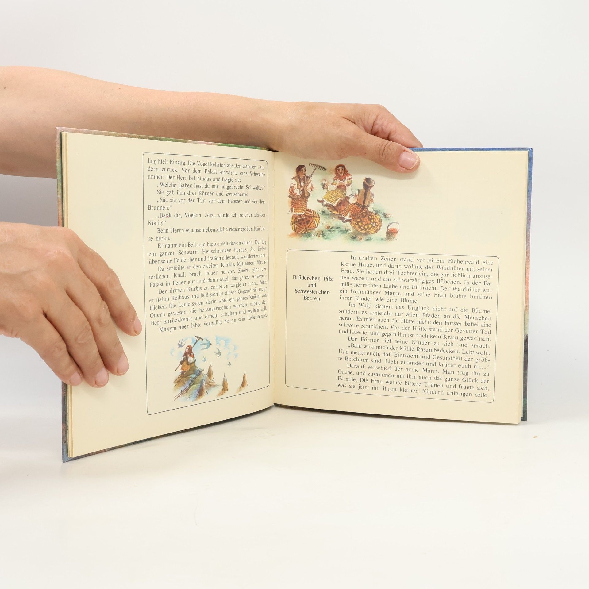 Autorenkollektiv Das Wunder des Steinberges