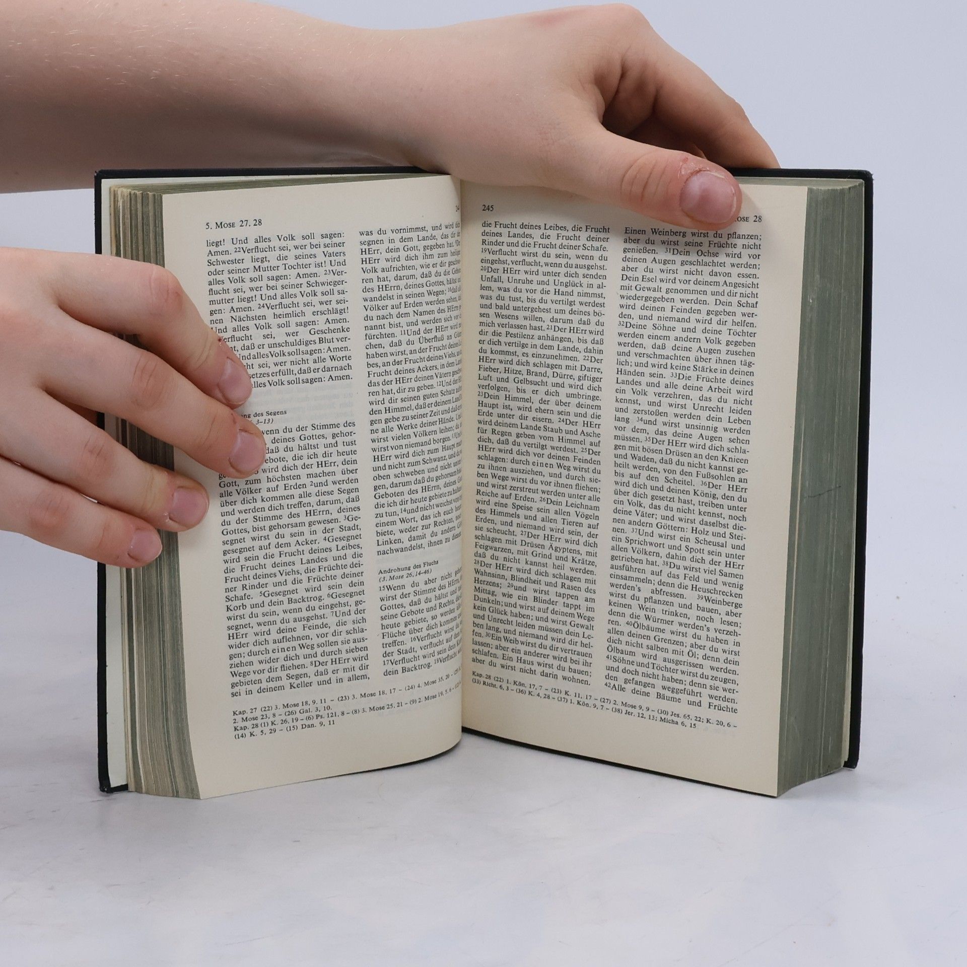 Autorenkollektiv Die Heilige Schrift