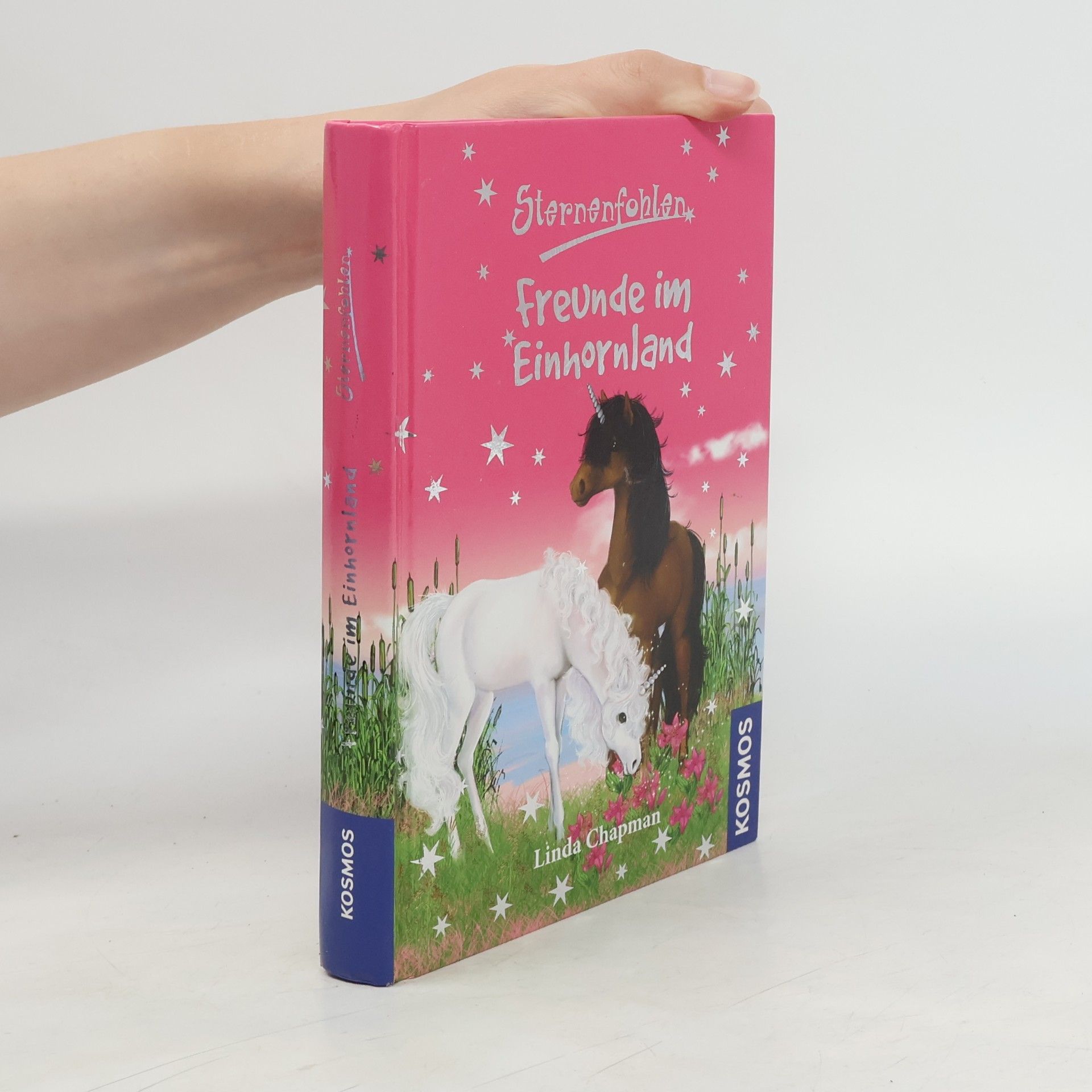 Linda Chapman Sternenfohlen - Freunde im Einhornland