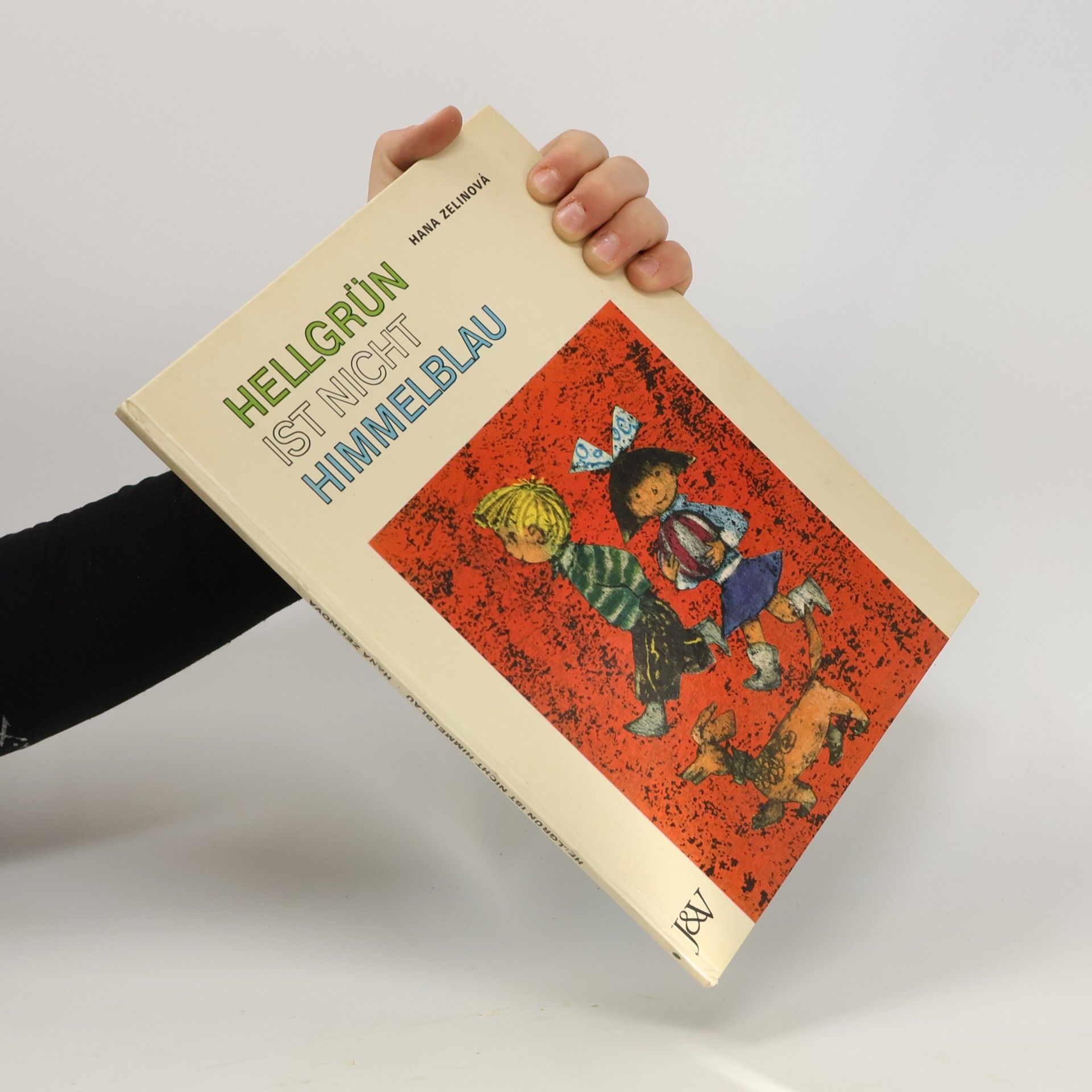 Hana Zelinová Hellgrün ist nicht Himmelblau